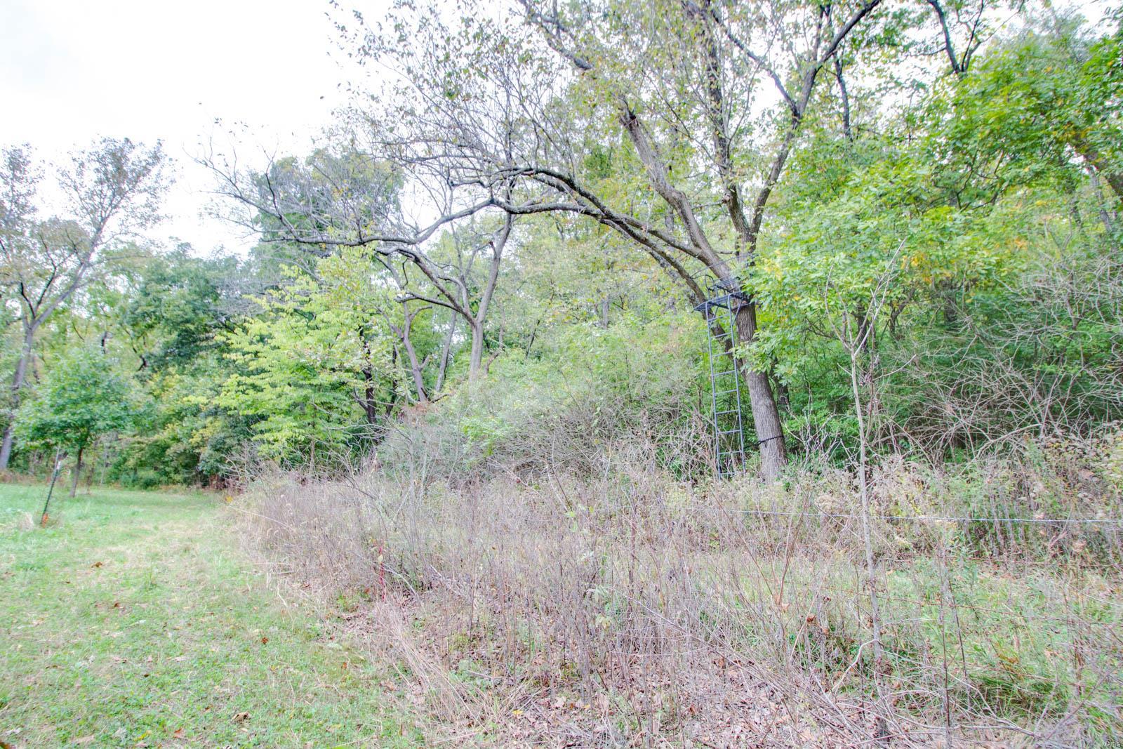 3697 Bono Road Staunton, IL 62088 - Photo 58 of 93