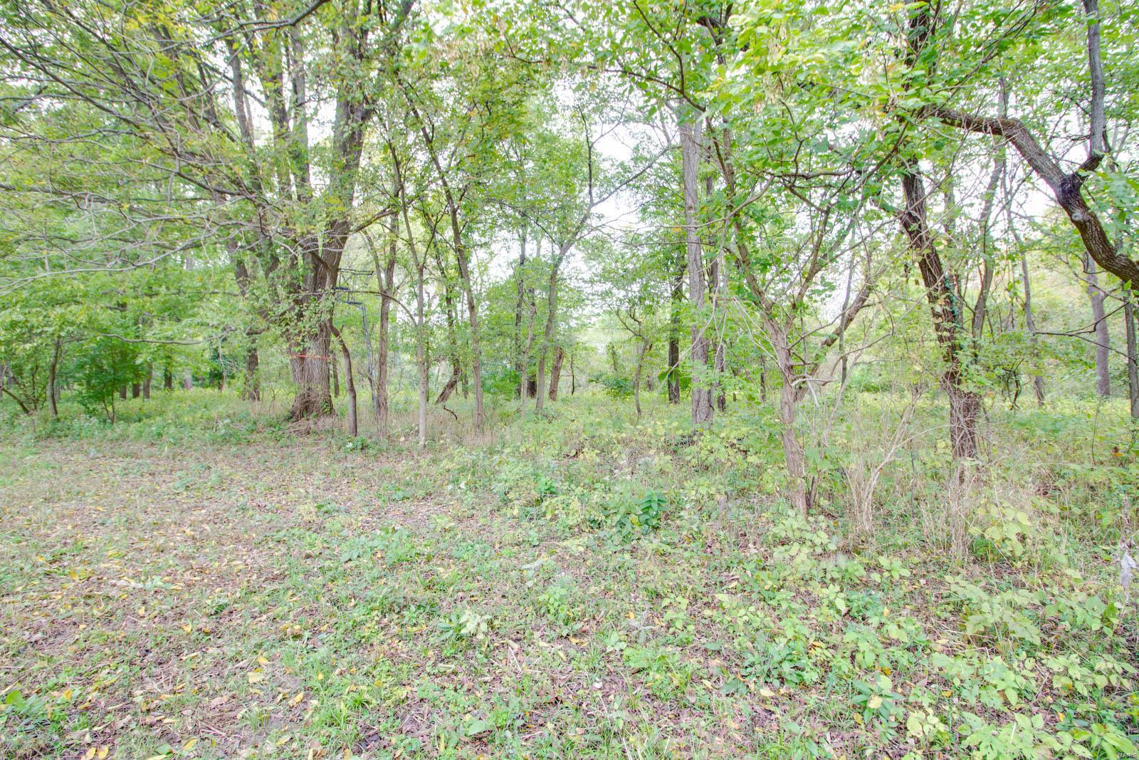 3697 Bono Road Staunton, IL 62088 - Photo 59 of 93