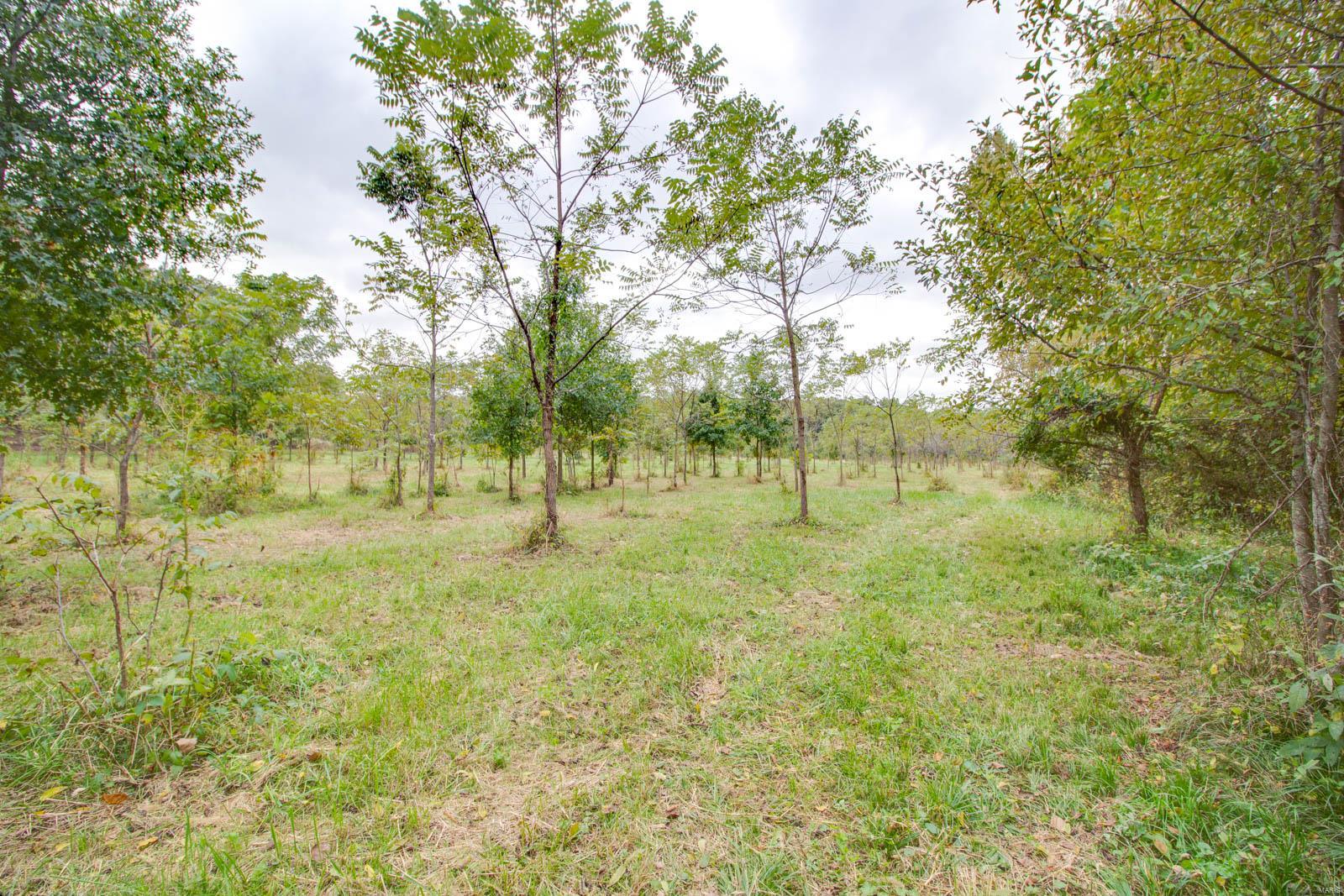 3697 Bono Road Staunton, IL 62088 - Photo 60 of 93