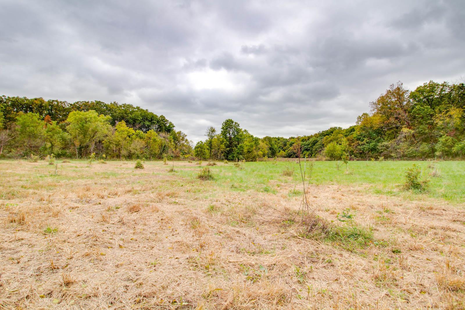 3697 Bono Road Staunton, IL 62088 - Photo 64 of 93