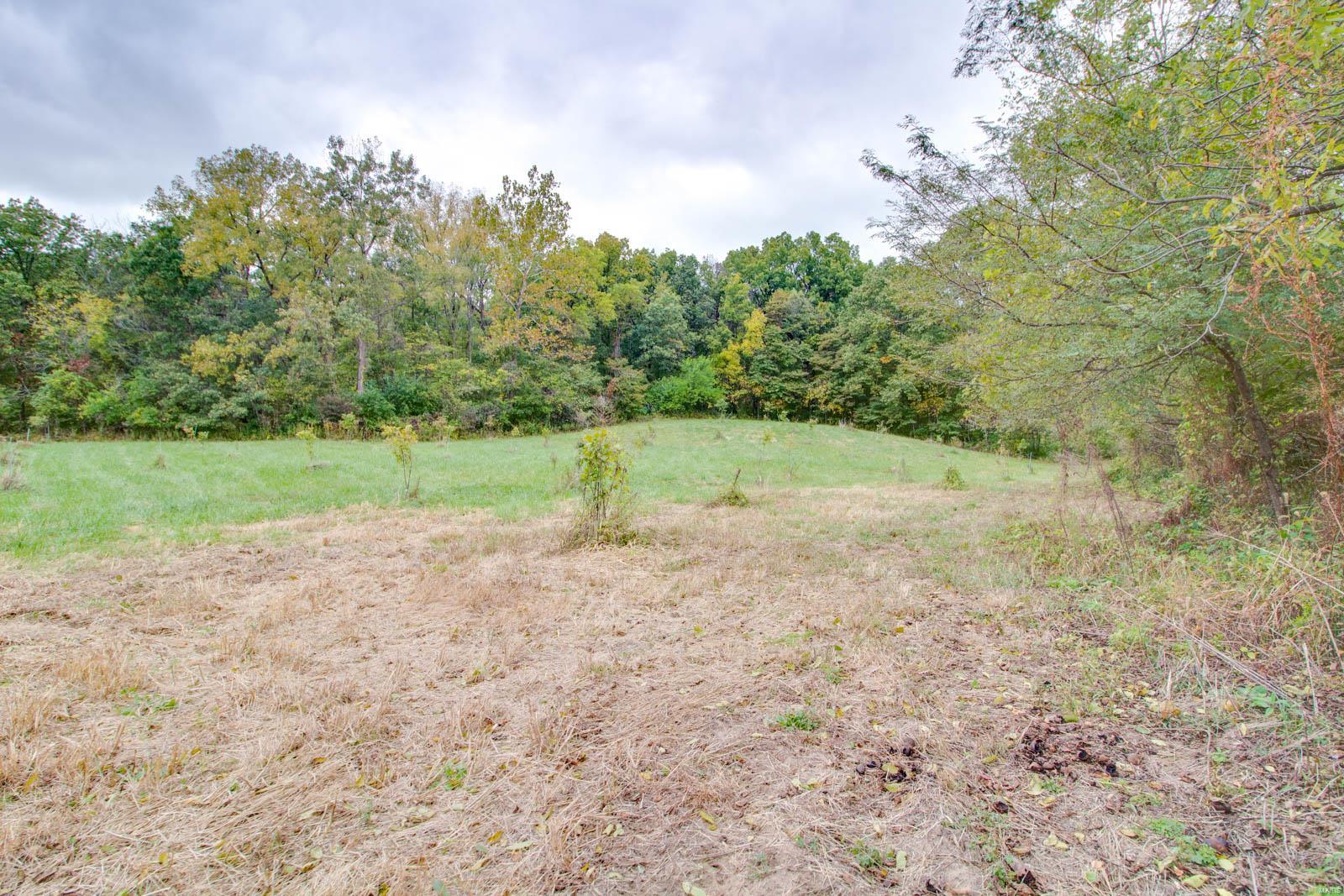 3697 Bono Road Staunton, IL 62088 - Photo 65 of 93