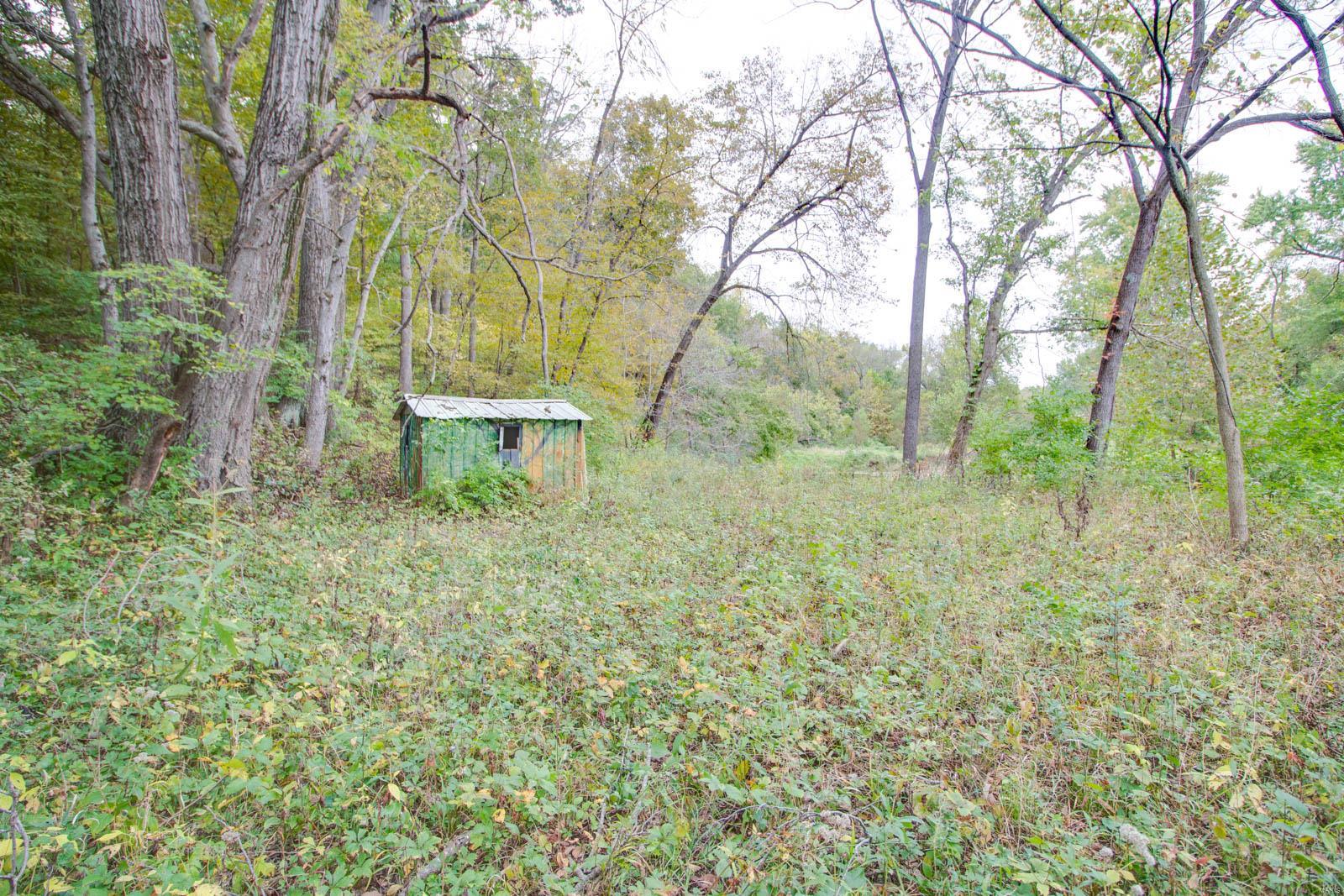 3697 Bono Road Staunton, IL 62088 - Photo 66 of 93