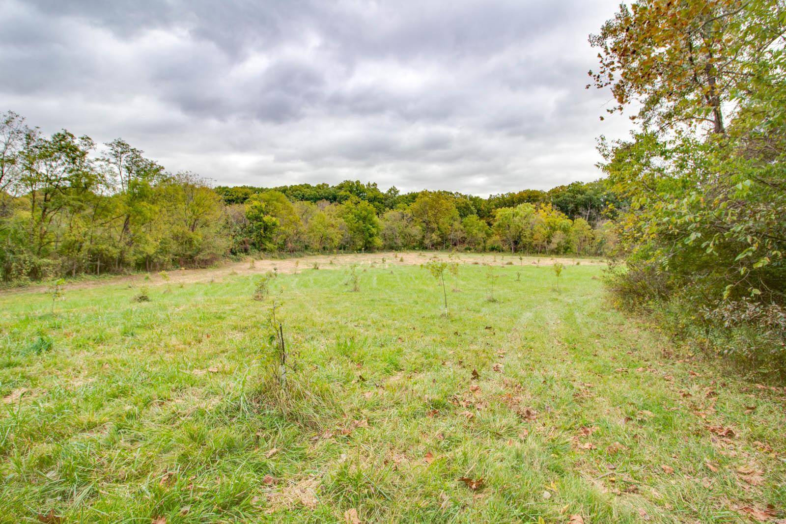 3697 Bono Road Staunton, IL 62088 - Photo 69 of 93