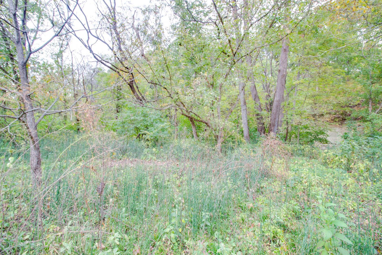 3697 Bono Road Staunton, IL 62088 - Photo 71 of 93