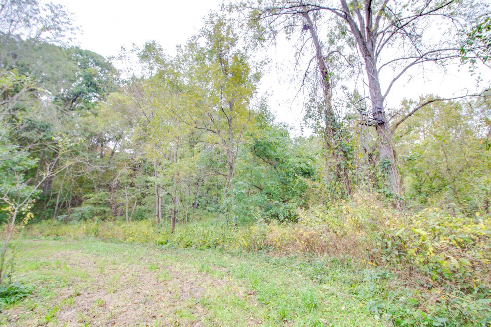 3697 Bono Road Staunton, IL 62088 - Photo 72 of 93