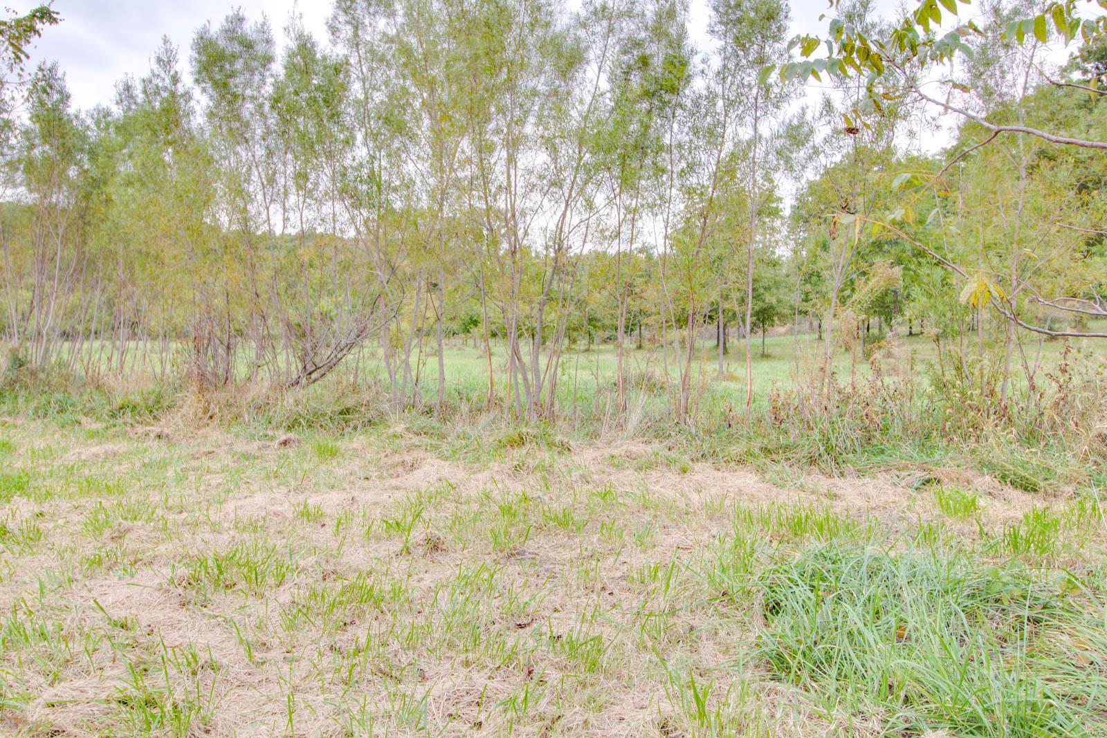 3697 Bono Road Staunton, IL 62088 - Photo 73 of 93