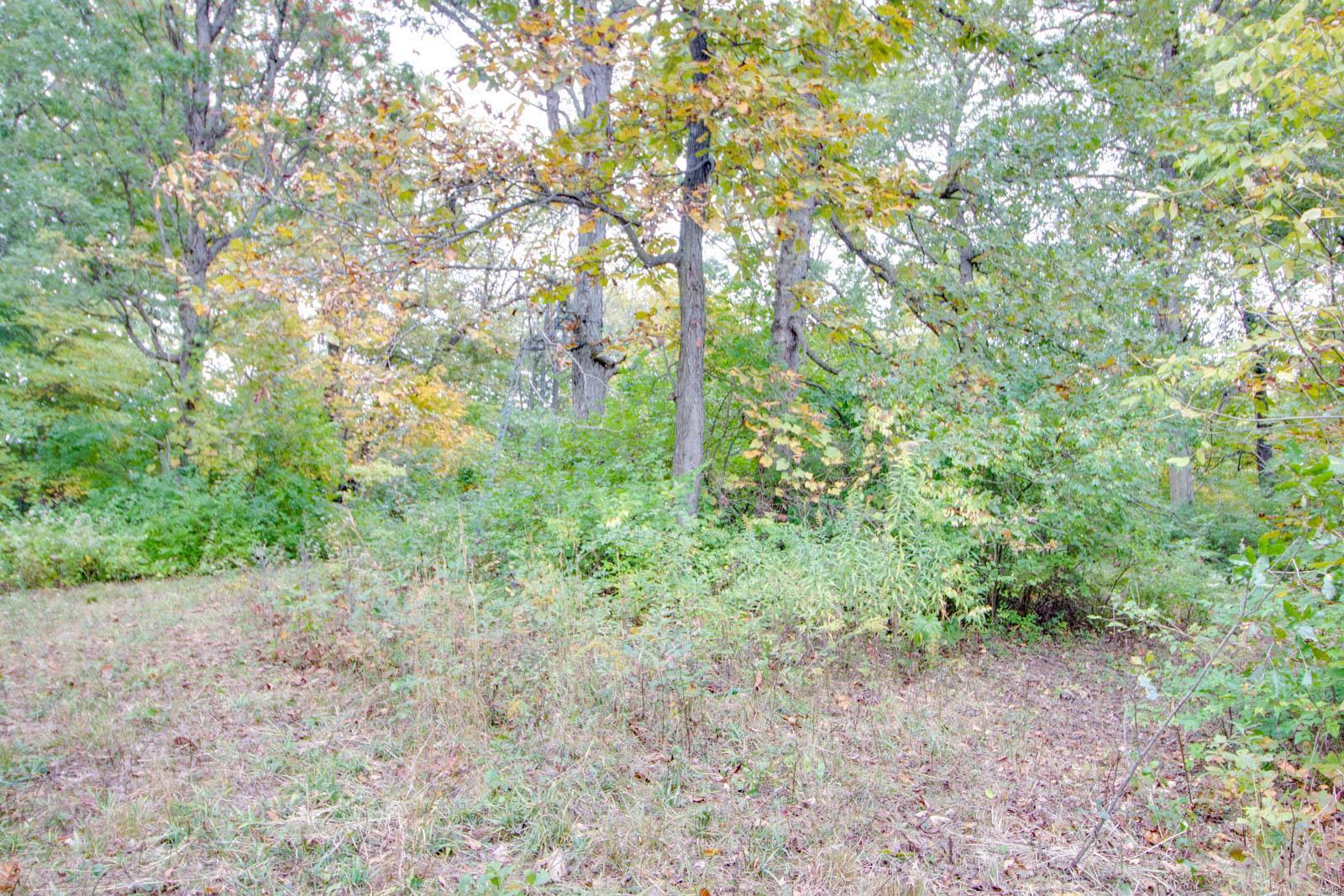 3697 Bono Road Staunton, IL 62088 - Photo 74 of 93