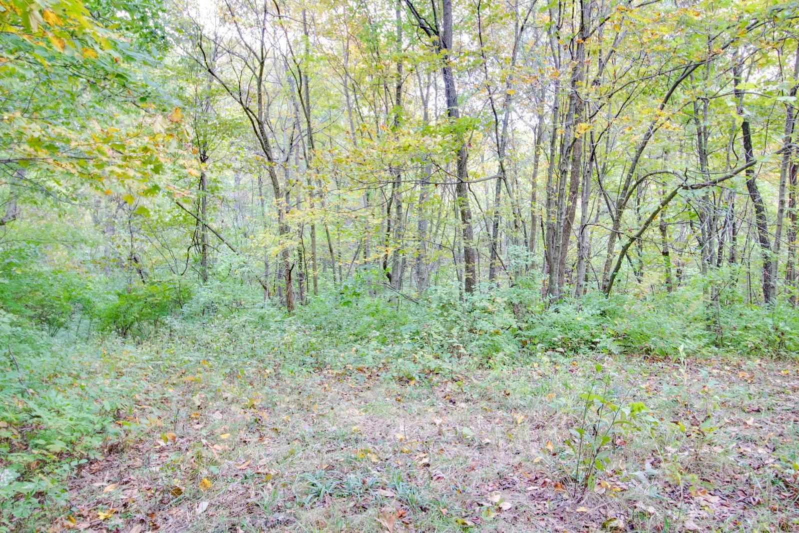 3697 Bono Road Staunton, IL 62088 - Photo 75 of 93