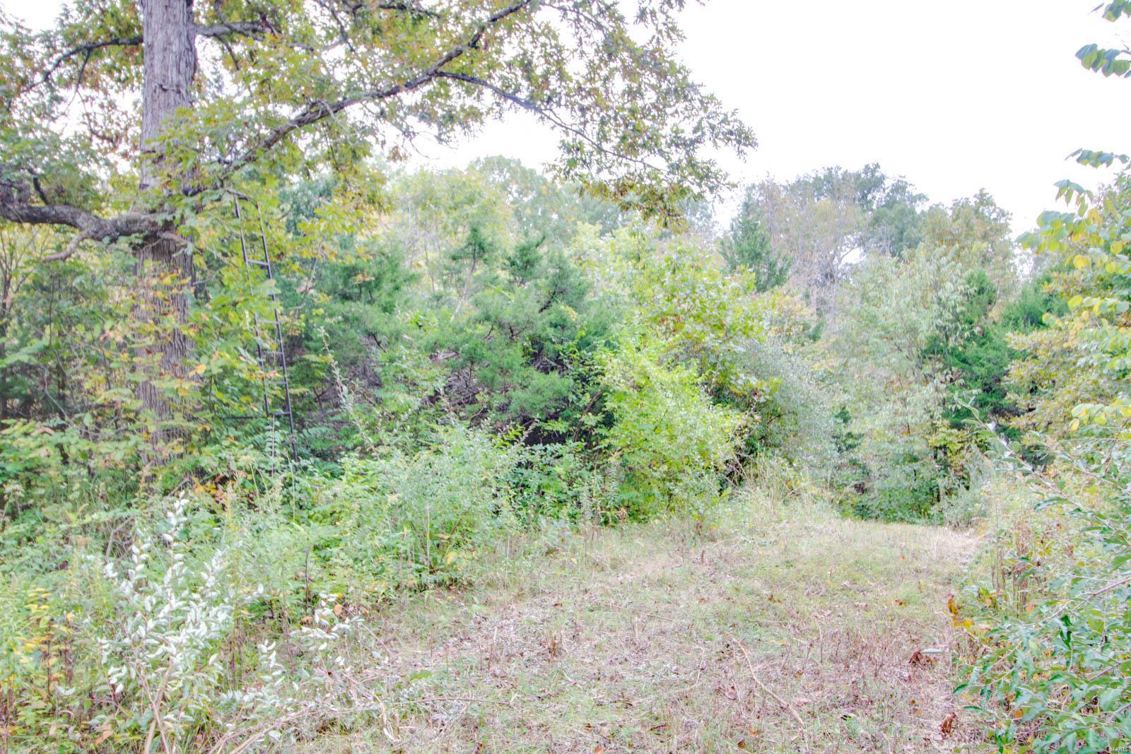 3697 Bono Road Staunton, IL 62088 - Photo 76 of 93