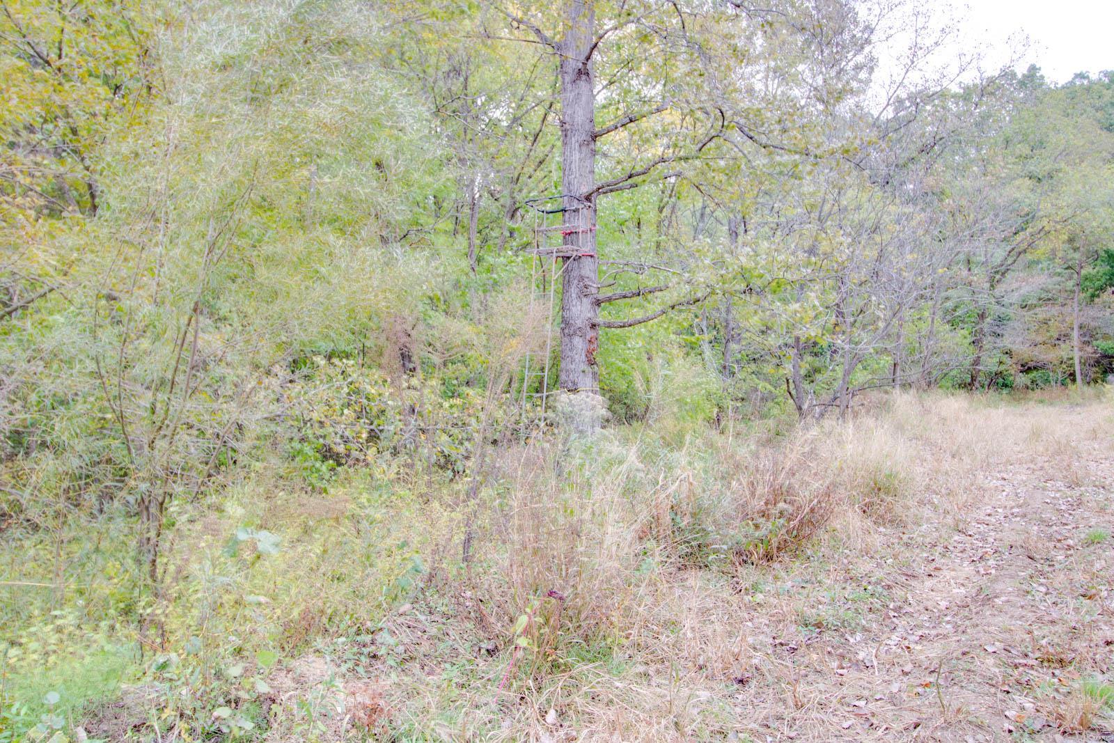 3697 Bono Road Staunton, IL 62088 - Photo 78 of 93