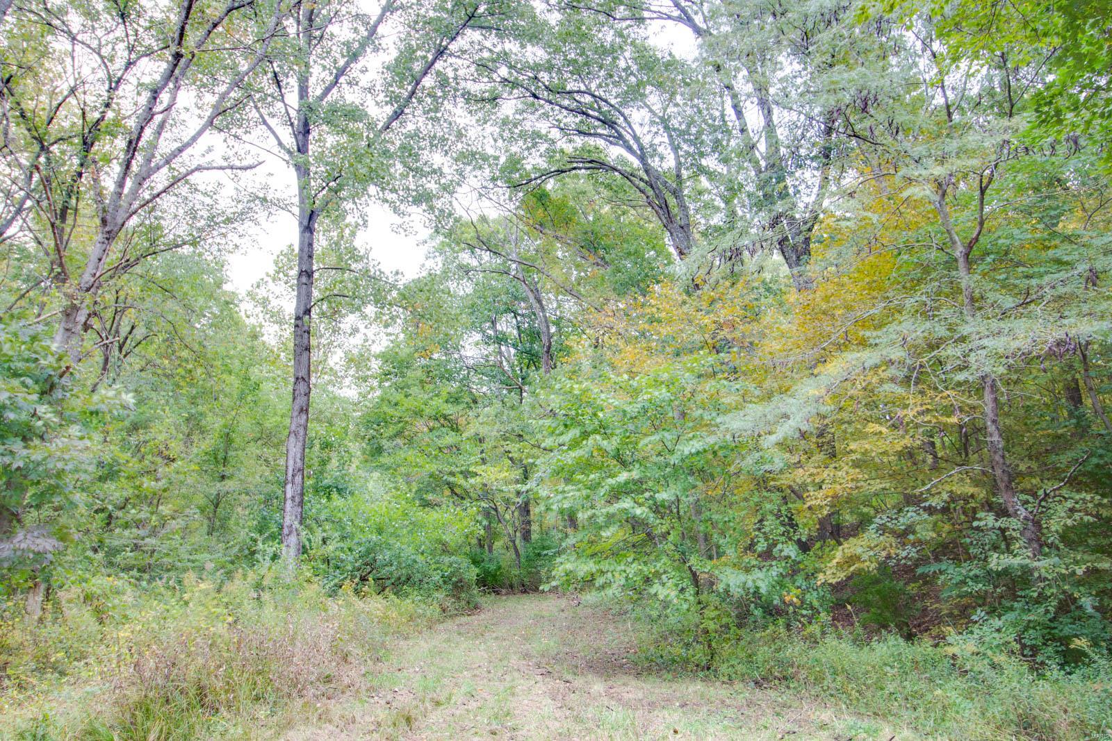 3697 Bono Road Staunton, IL 62088 - Photo 79 of 93