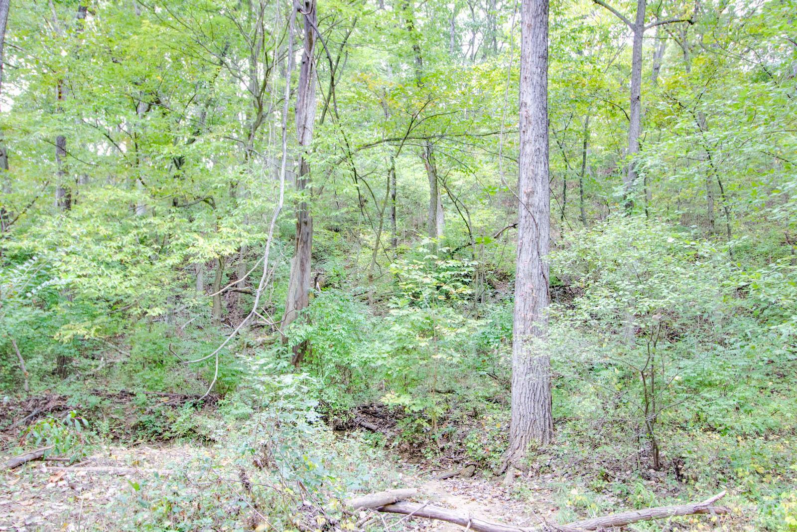 3697 Bono Road Staunton, IL 62088 - Photo 80 of 93
