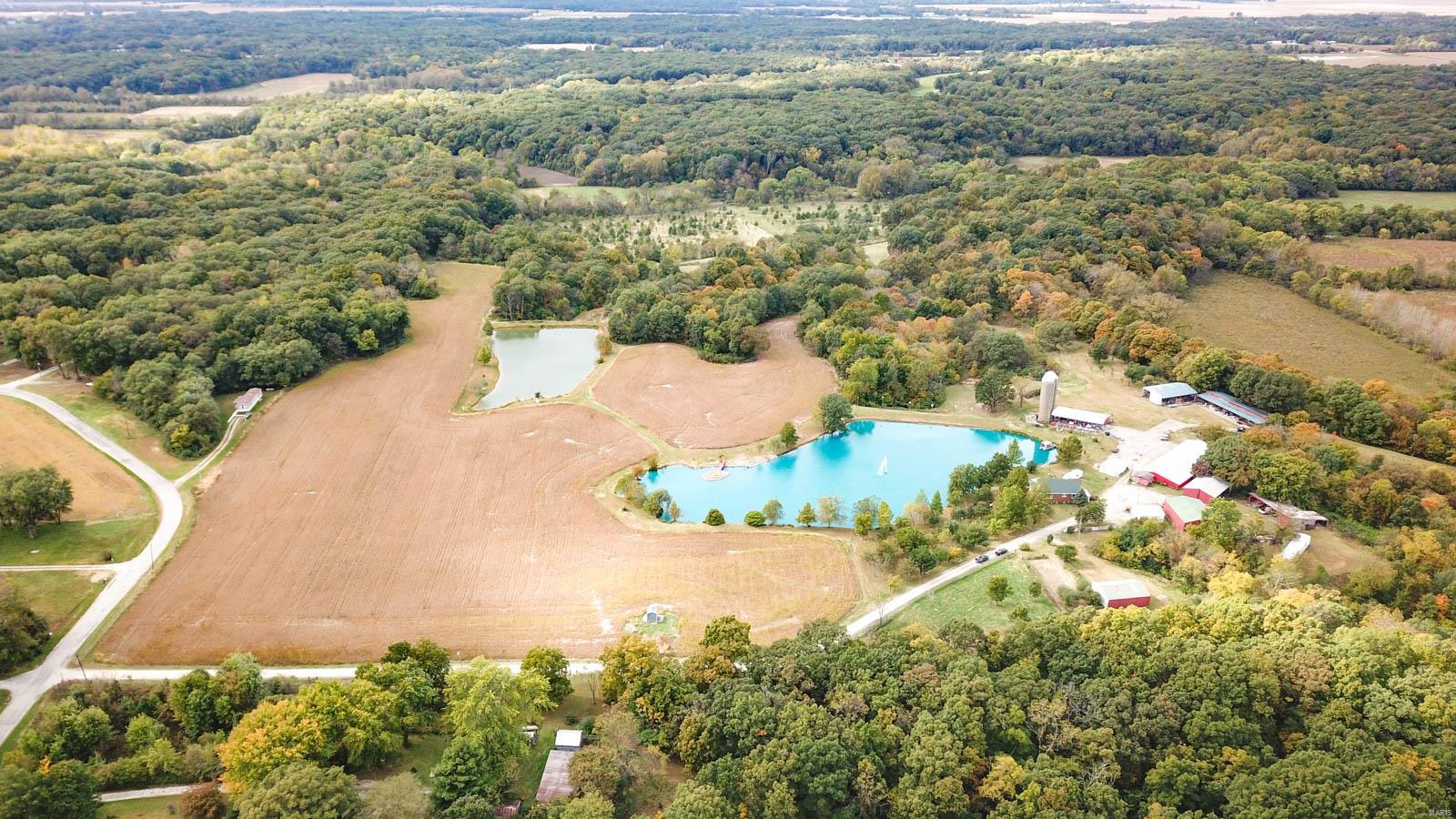 3697 Bono Road Staunton, IL 62088 - Photo 9 of 93