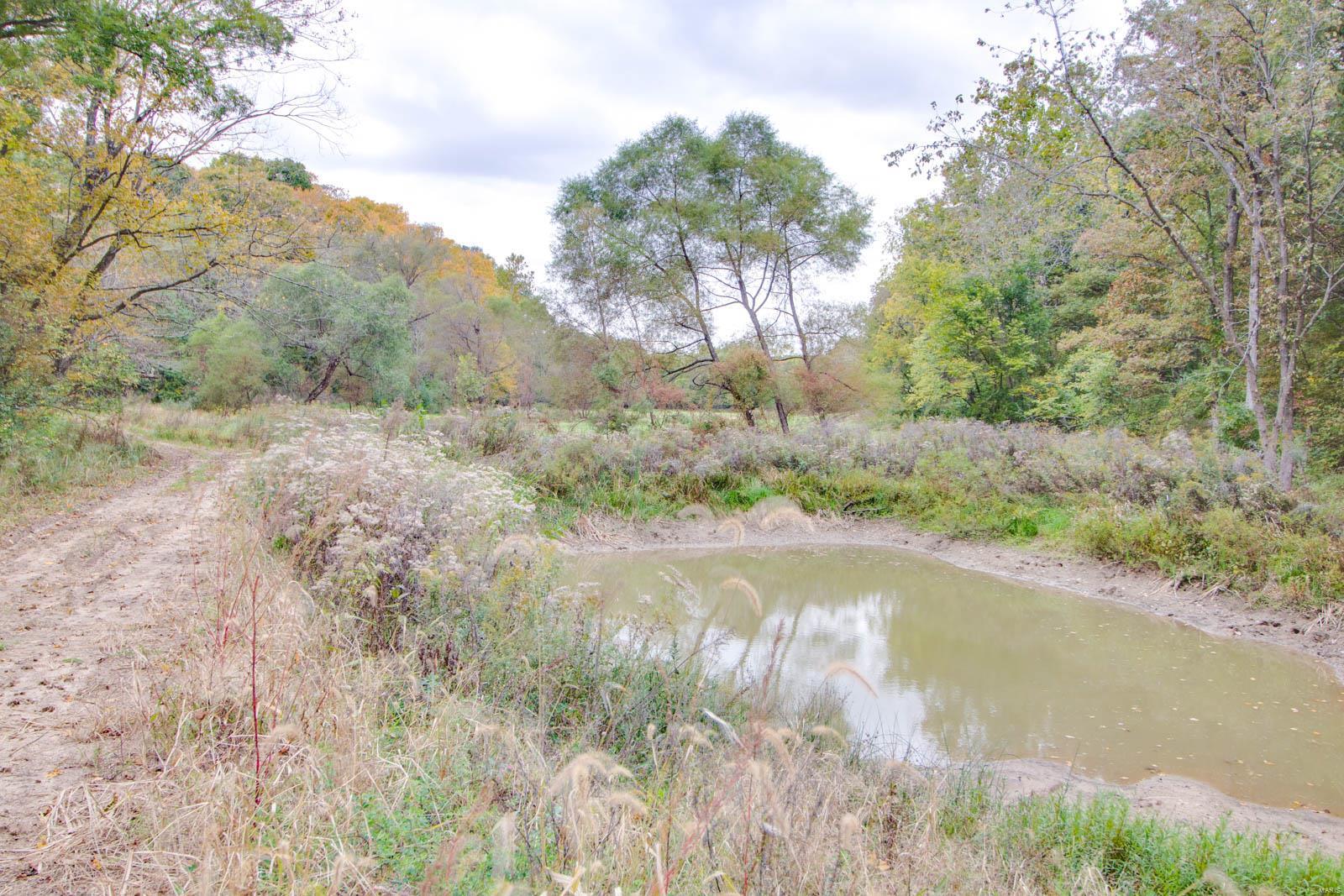 3697 Bono Road Staunton, IL 62088 - Photo 81 of 93