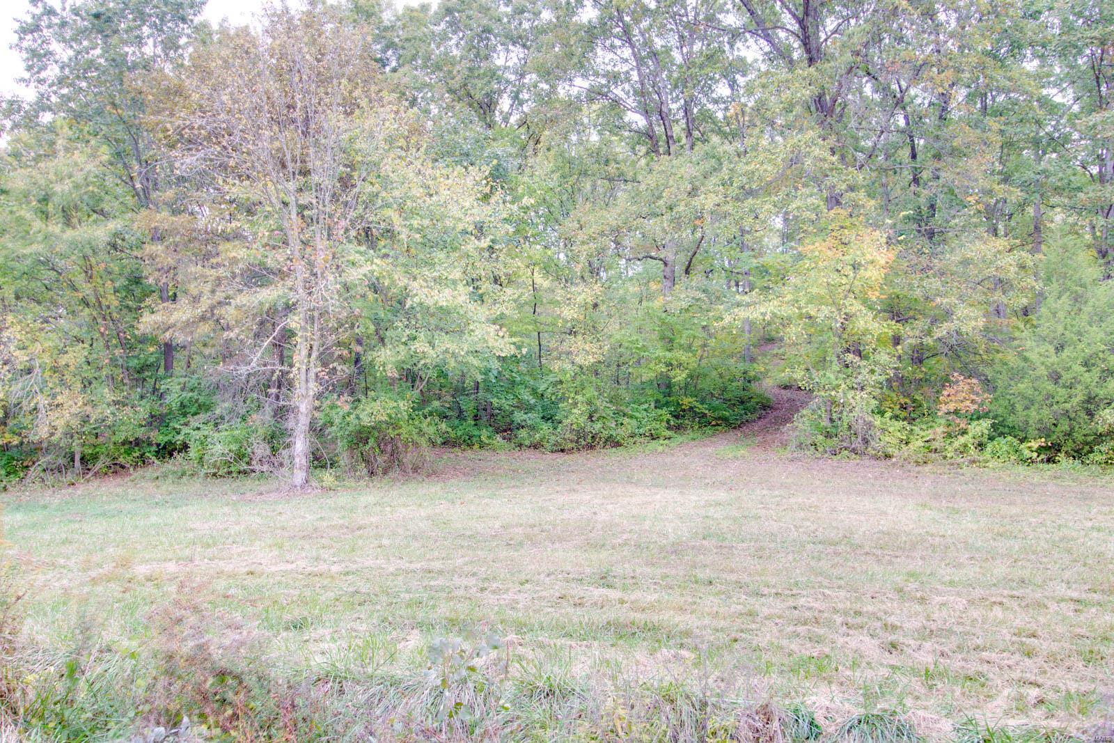 3697 Bono Road Staunton, IL 62088 - Photo 83 of 93