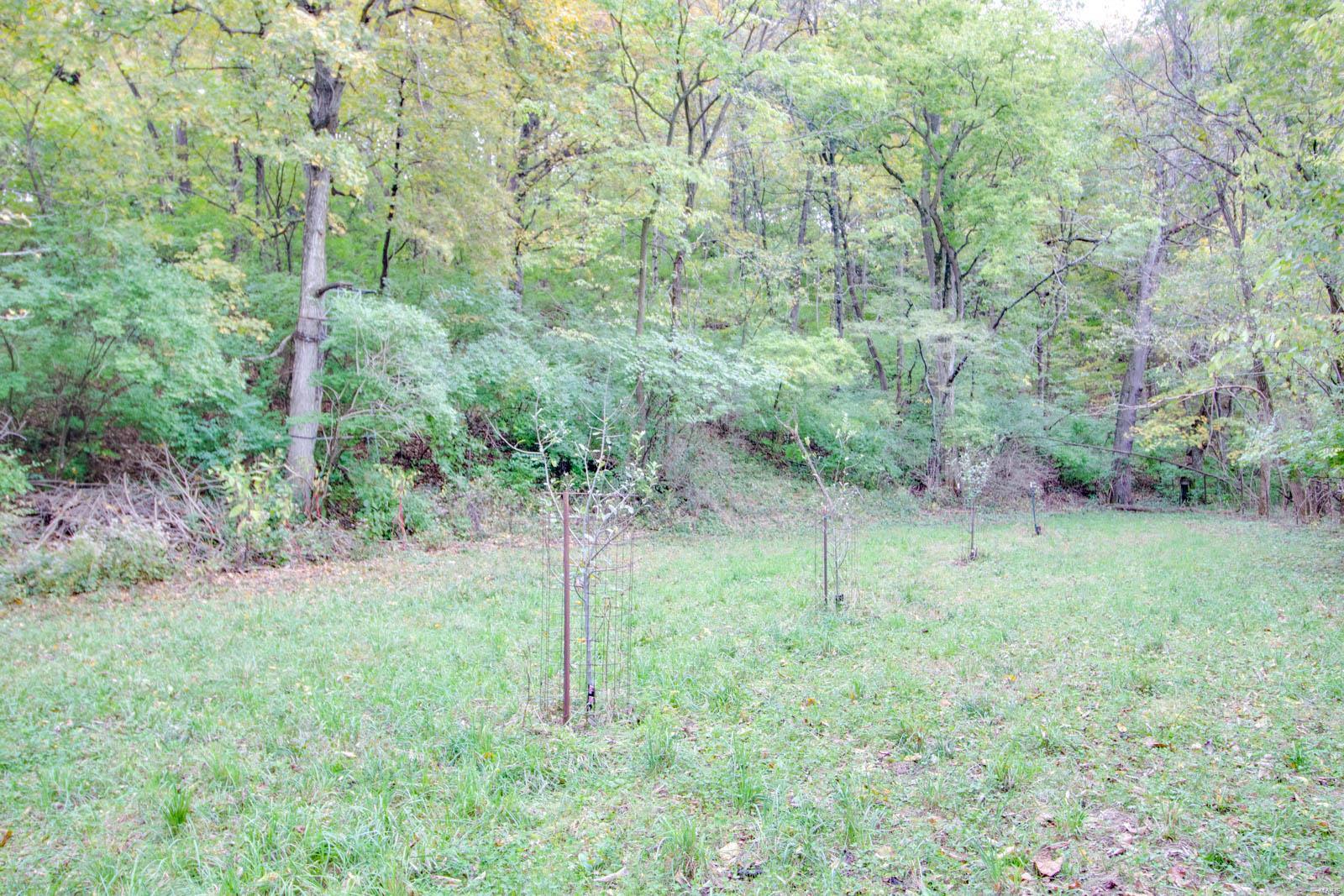 3697 Bono Road Staunton, IL 62088 - Photo 85 of 93