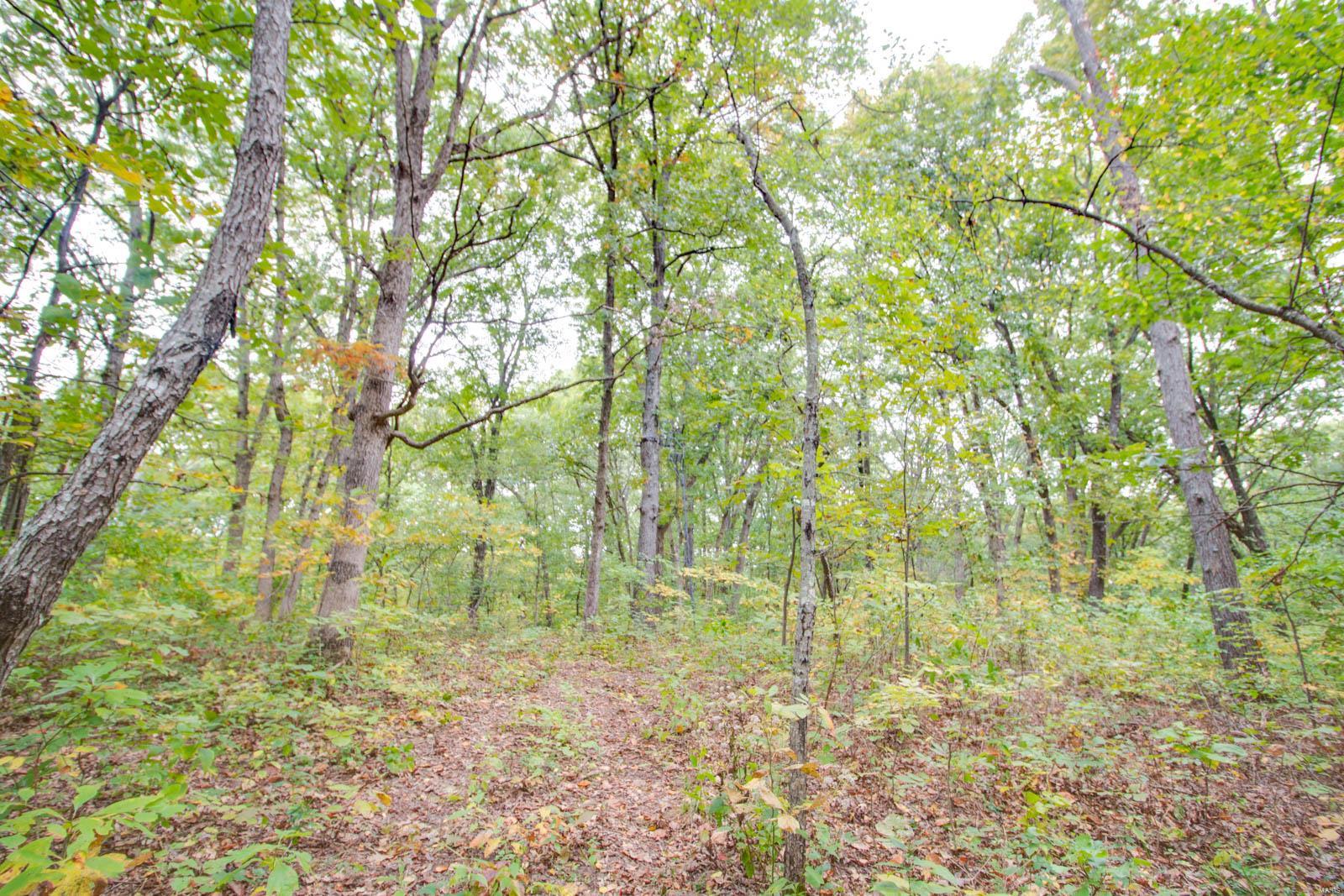 3697 Bono Road Staunton, IL 62088 - Photo 89 of 93