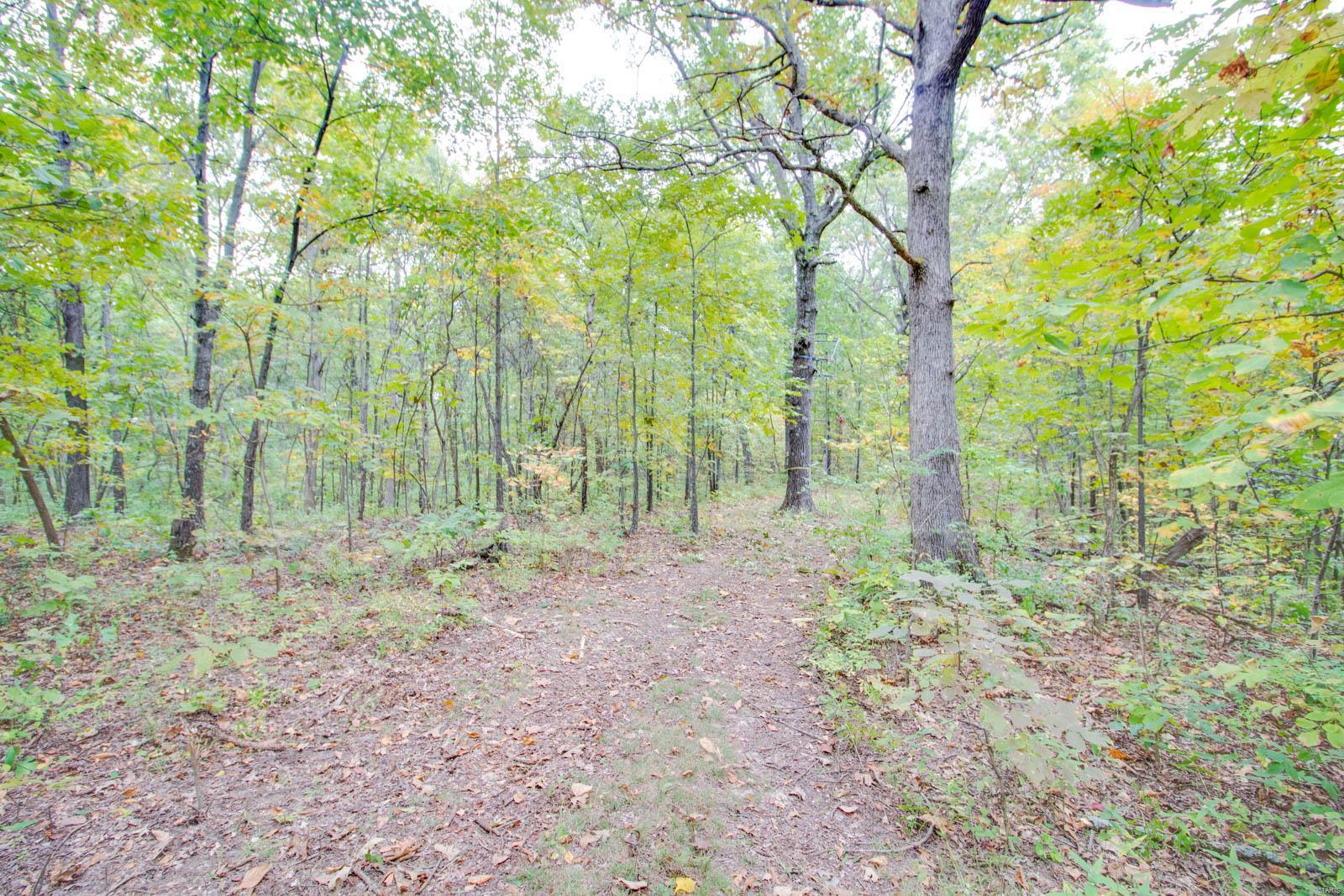 3697 Bono Road Staunton, IL 62088 - Photo 90 of 93