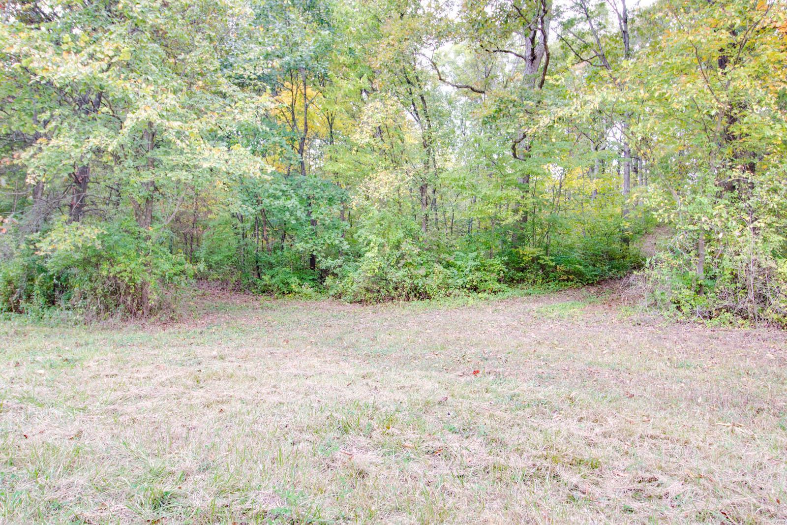 3697 Bono Road Staunton, IL 62088 - Photo 91 of 93