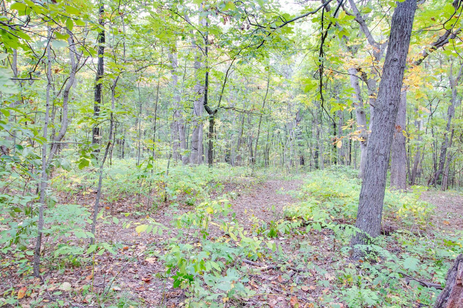 3697 Bono Road Staunton, IL 62088 - Photo 92 of 93