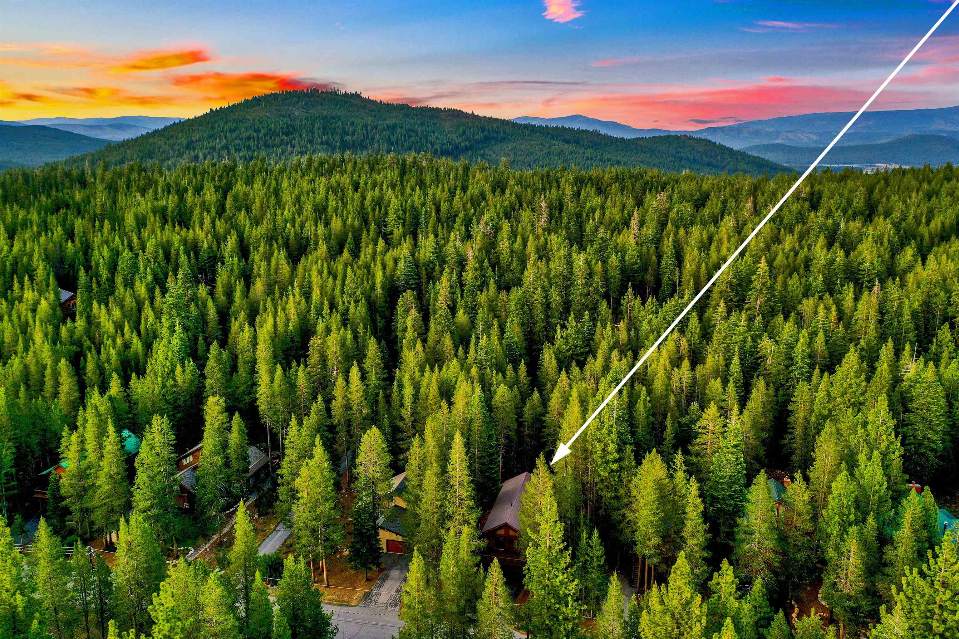 12095 Oslo Drive Truckee, CA 96161 - Photo 3 of 28 a view of a garden