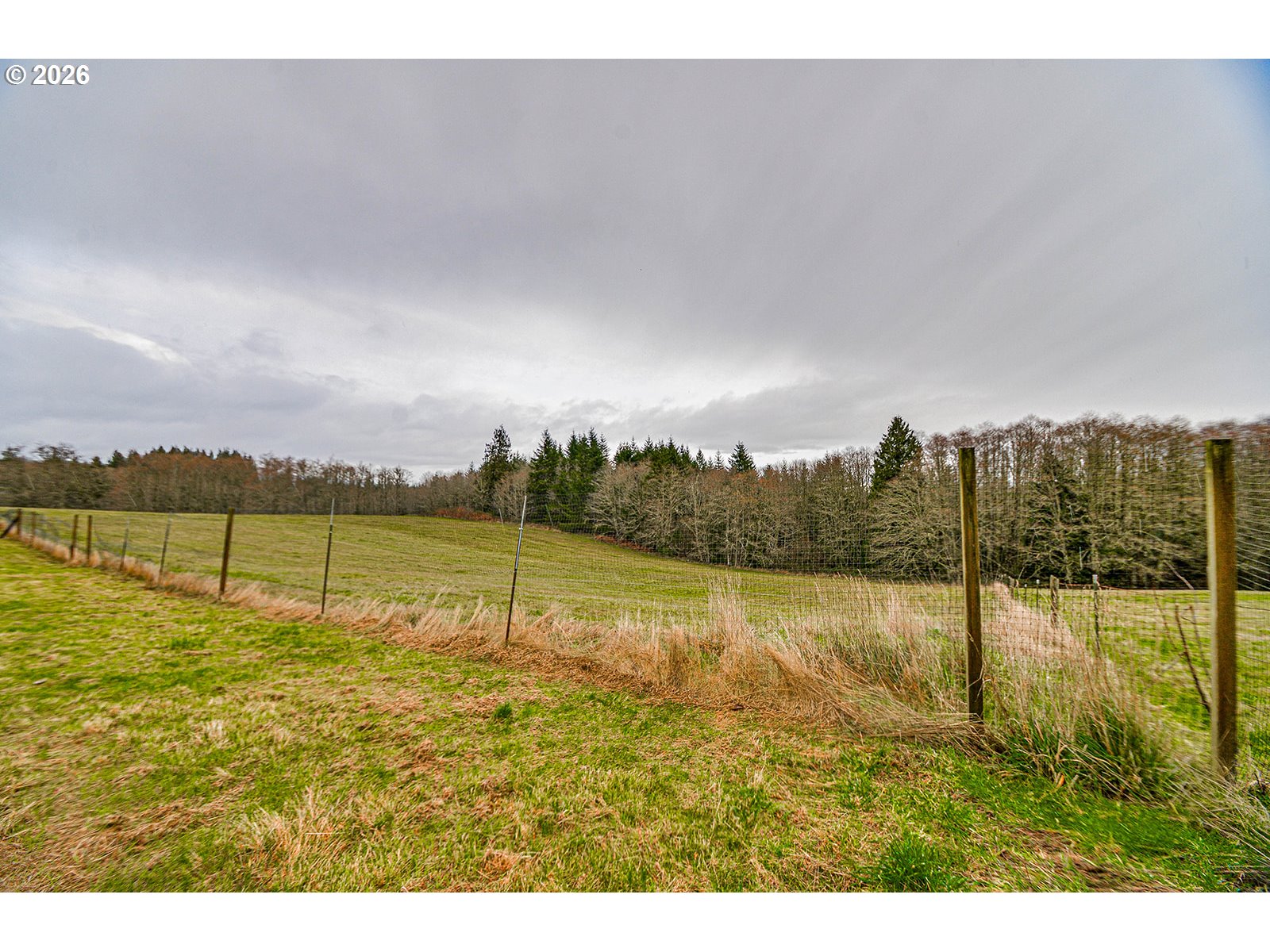 79988 Stewart Creek Road Clatskanie, OR 97016 - Photo 46 of 48 Pasture