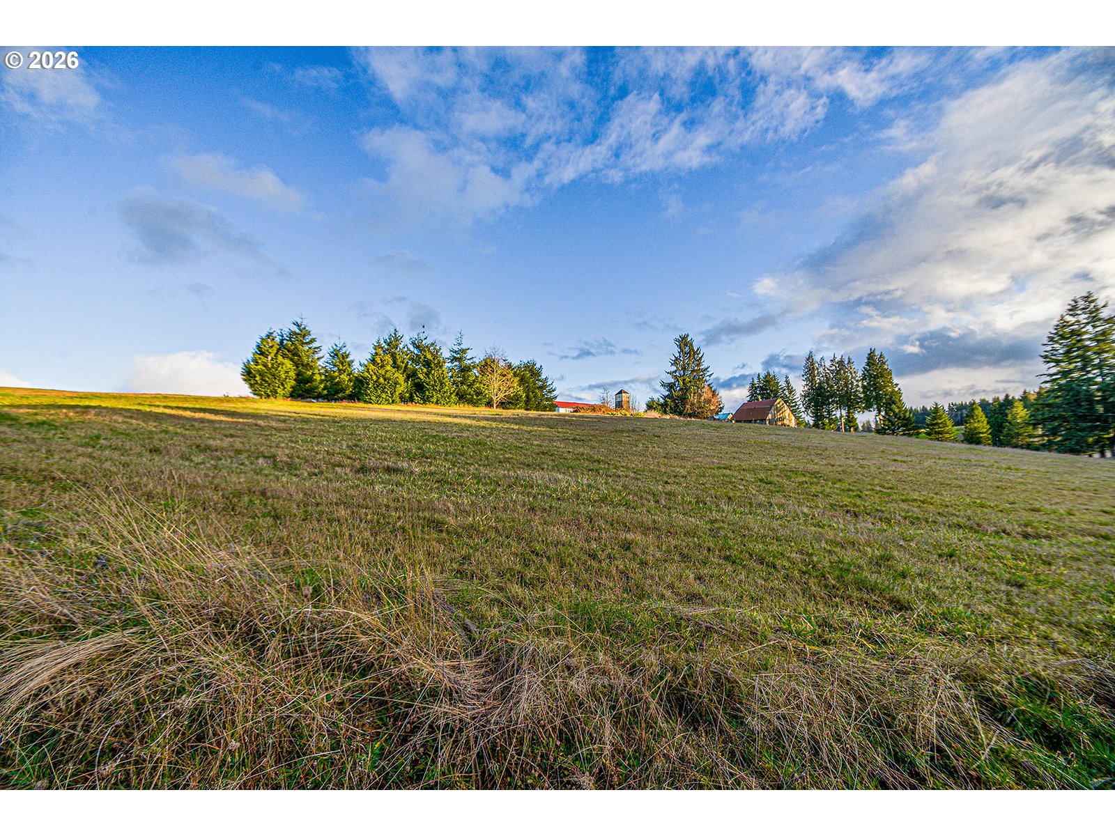 79988 Stewart Creek Road Clatskanie, OR 97016 - Photo 47 of 48 Pasture