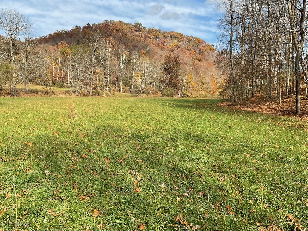 0 White Oak Road Walker, WV 26180 - Photo 31 of 39