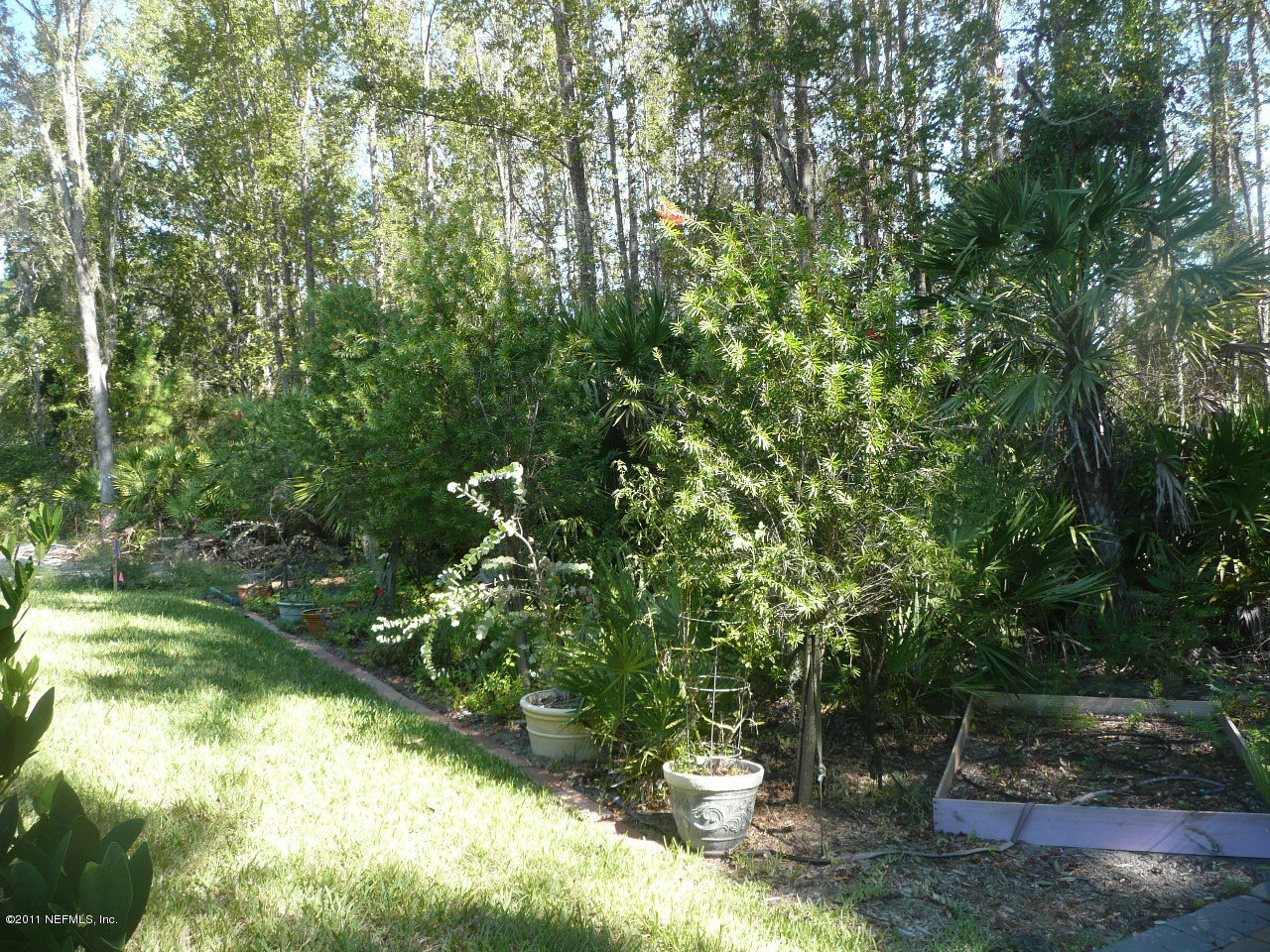 308 Mission Trace Drive St. Augustine, FL 32084 - Photo 20 of 20 a backyard of a house with lots of green space