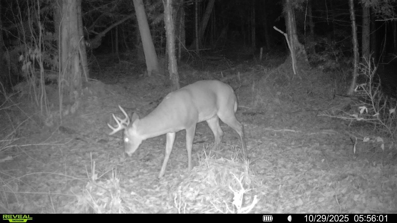 Vl South 27 Road Cadillac, MI 49601 - Photo 7 of 45