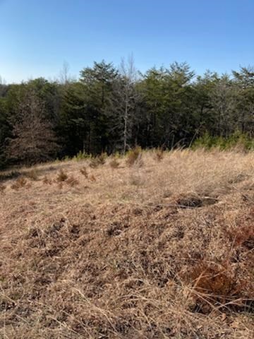 0 Fox Ridge Way Sevierville, TN 37876 - Photo 4 of 5
