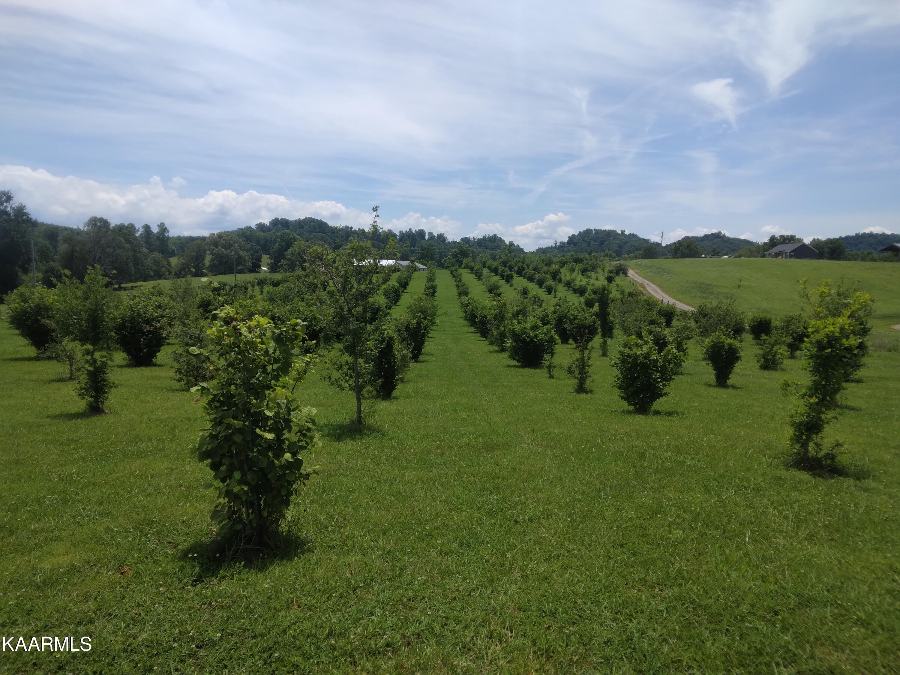 Everhart Road Tellico Plains, TN 37385 - Photo 2 of 7 BEAUTIFULLY MAINTAINED!