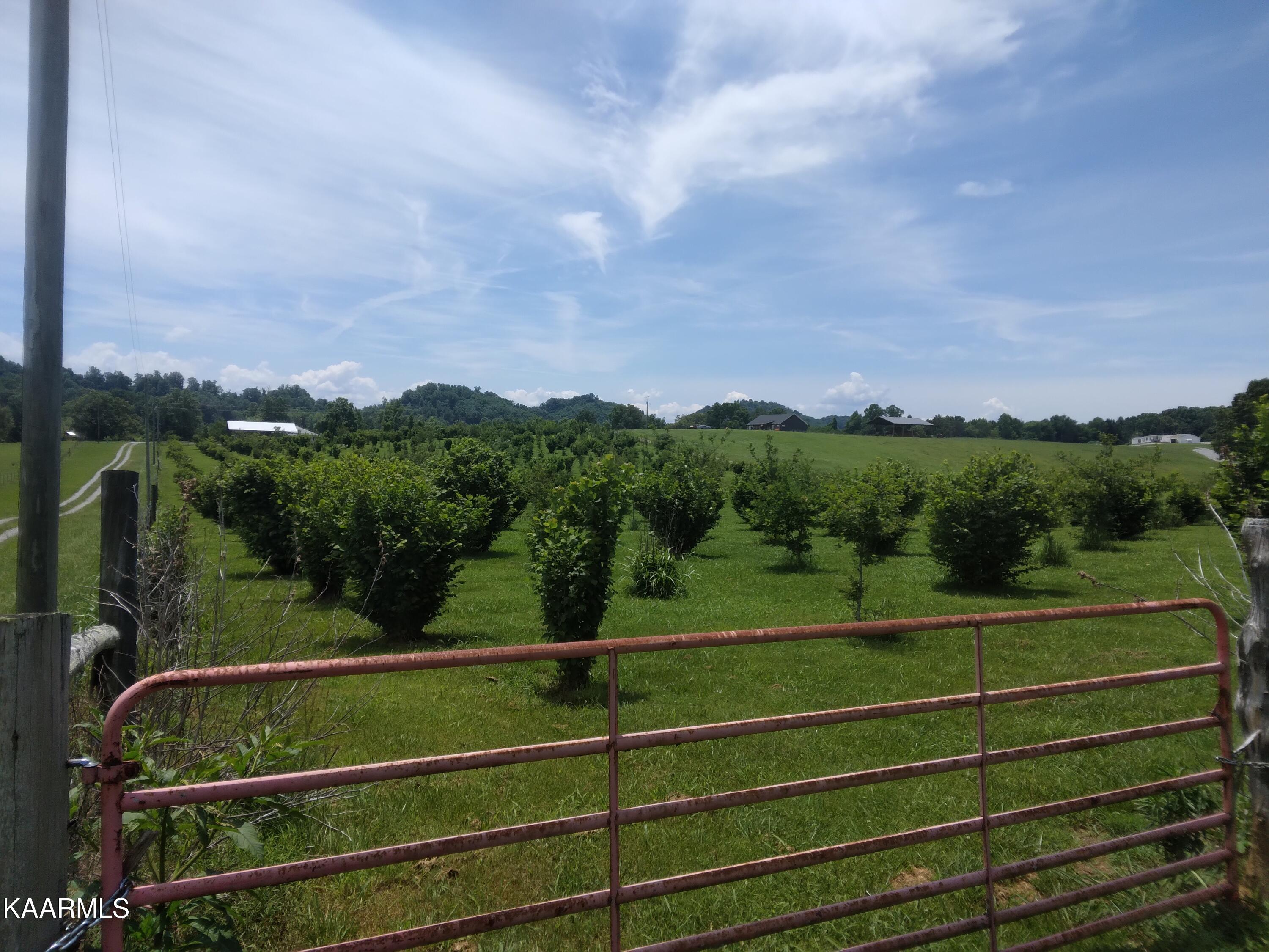 Everhart Road Tellico Plains, TN 37385 - Photo 5 of 7 Gated Entry