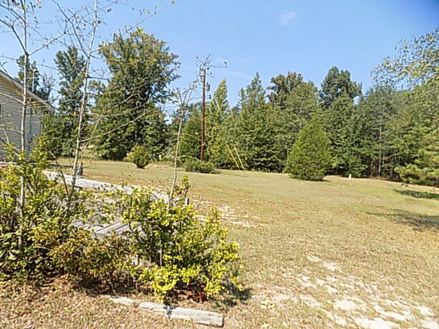 3294 South Lizella Road Lizella, GA 31052 - Photo 6 of 17 a view of a yard with an trees