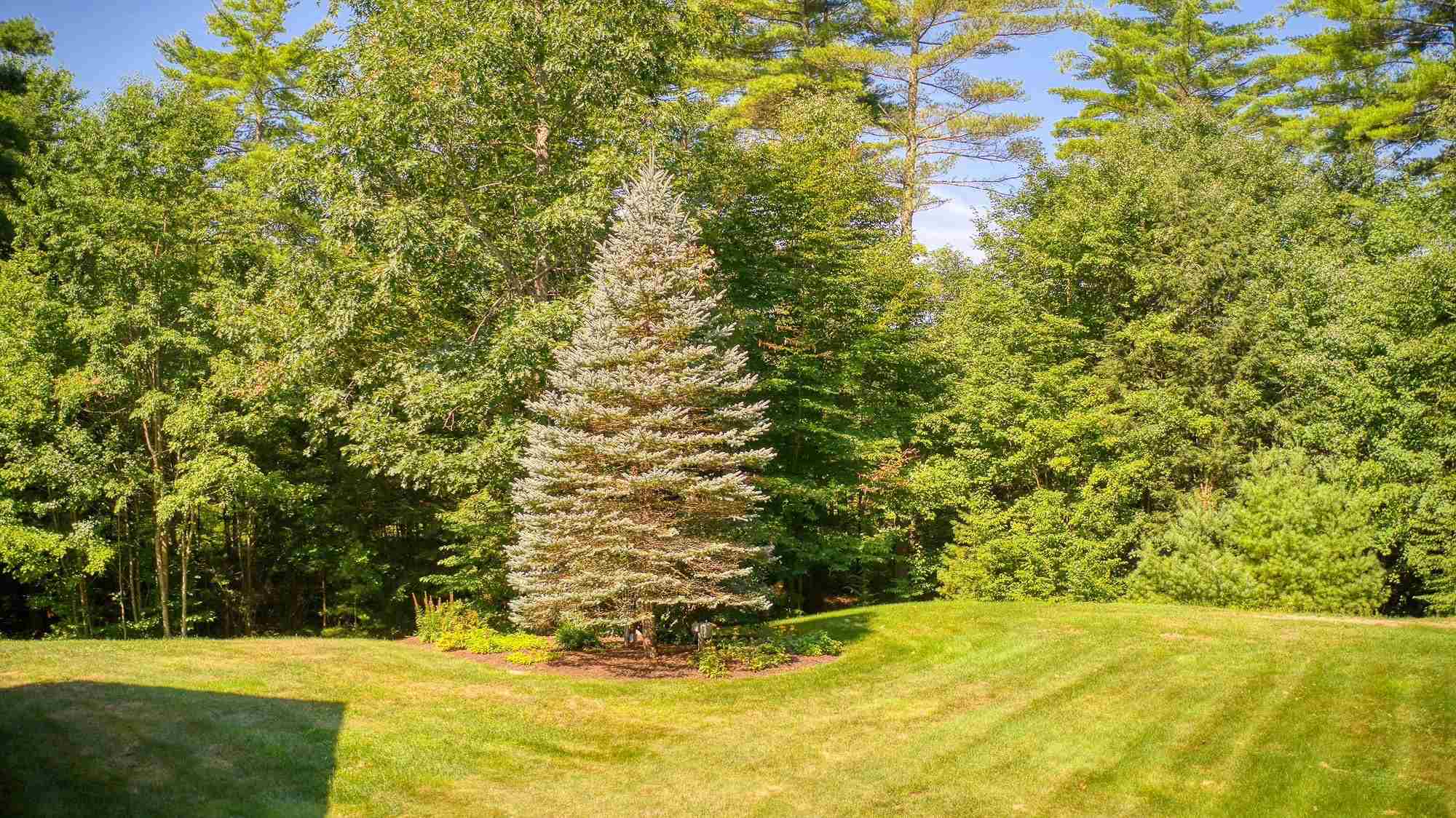 588 Bedford Road New Boston, NH 03070 - Photo 30 of 36