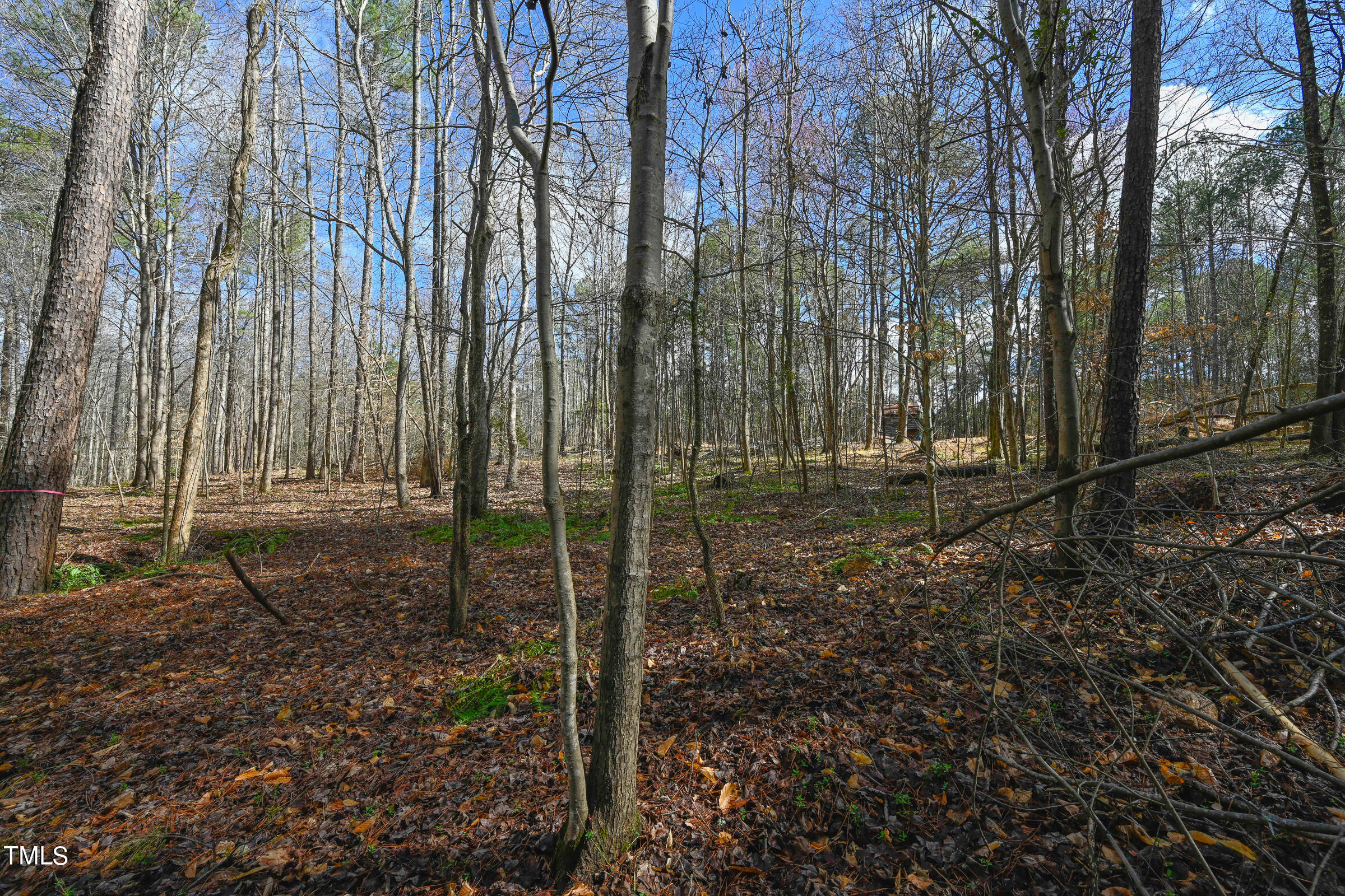 0 Woodlief Road Wake Forest, NC 27587 - Photo 11 of 13 Woodleaf Land-20