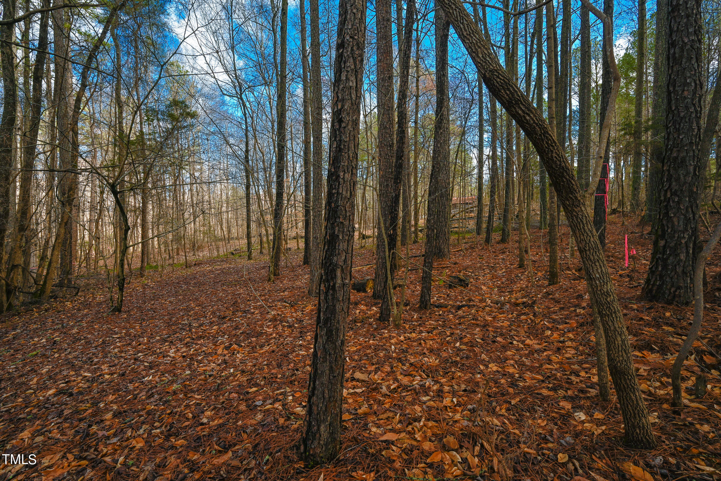 0 Woodlief Road Wake Forest, NC 27587 - Photo 12 of 13 Woodleaf Land-21