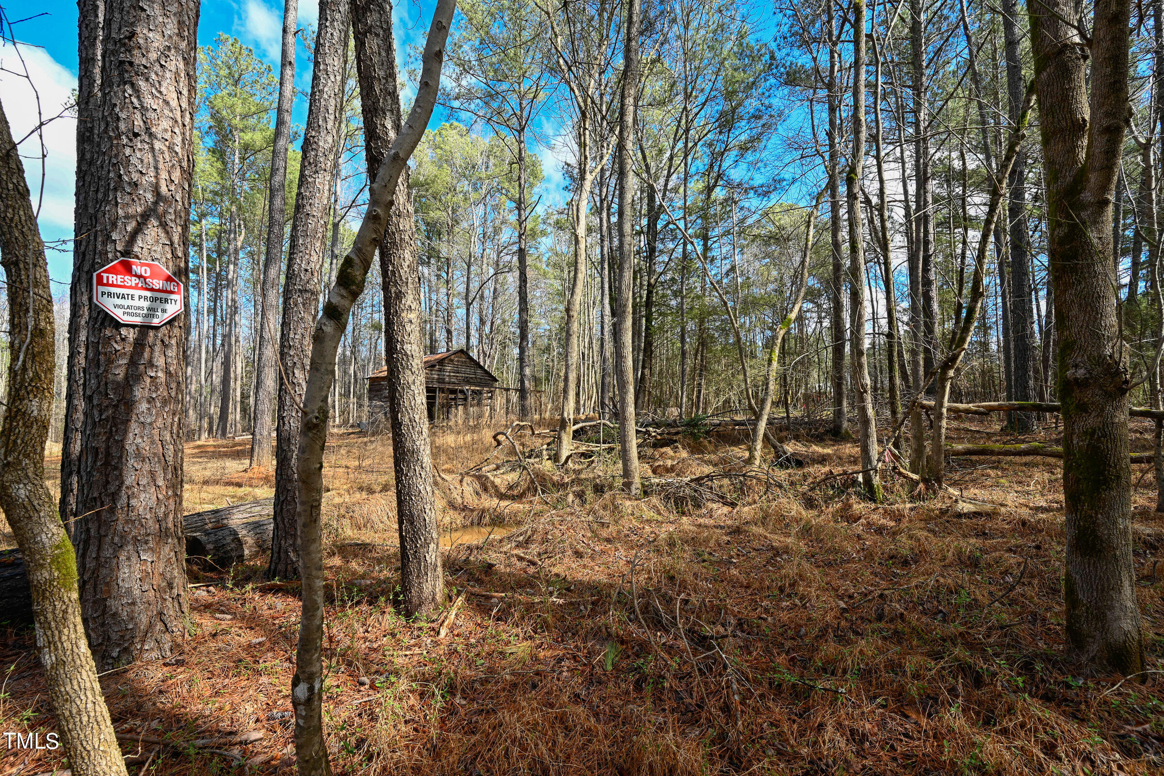 0 Woodlief Road Wake Forest, NC 27587 - Photo 13 of 13 Woodleaf Land-22