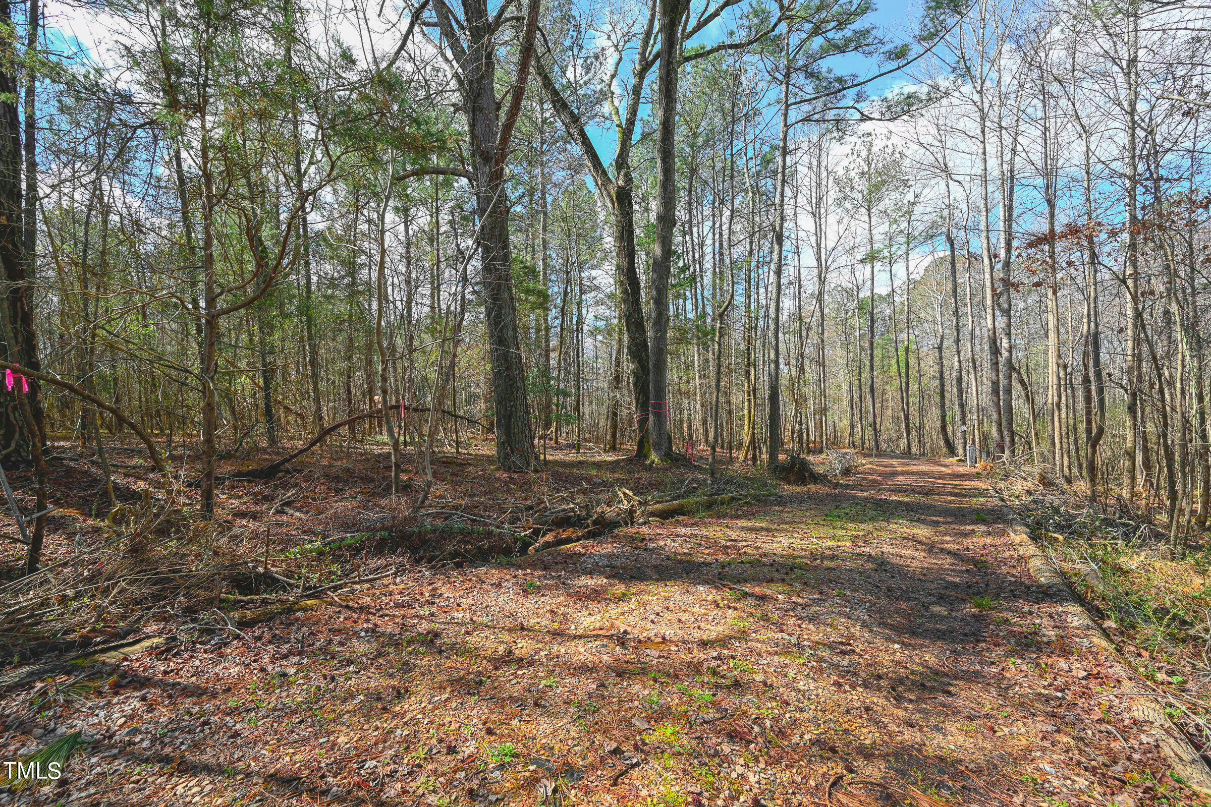 0 Woodlief Road Wake Forest, NC 27587 - Photo 4 of 13 Woodleaf Land-13