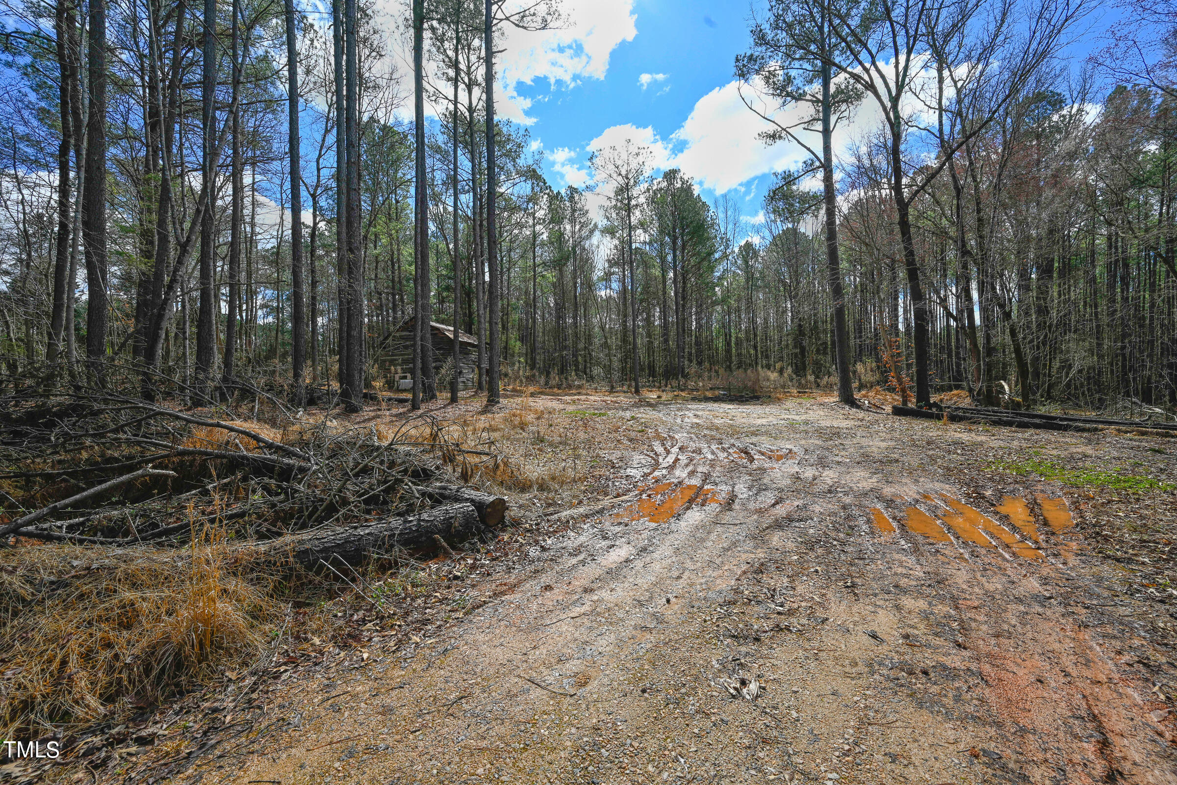 0 Woodlief Road Wake Forest, NC 27587 - Photo 5 of 13 Woodleaf Land-14