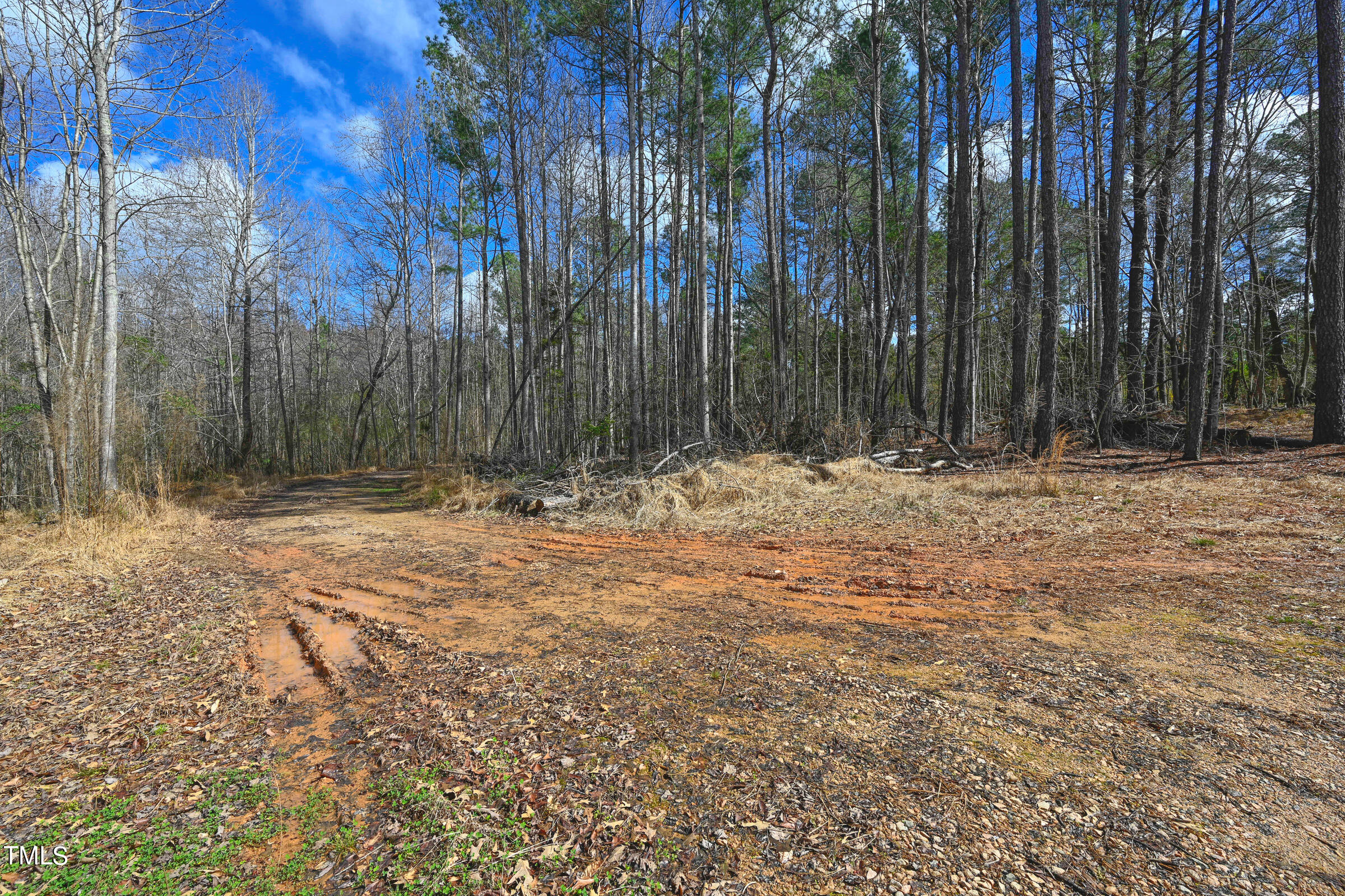 0 Woodlief Road Wake Forest, NC 27587 - Photo 8 of 13 Woodleaf Land-17