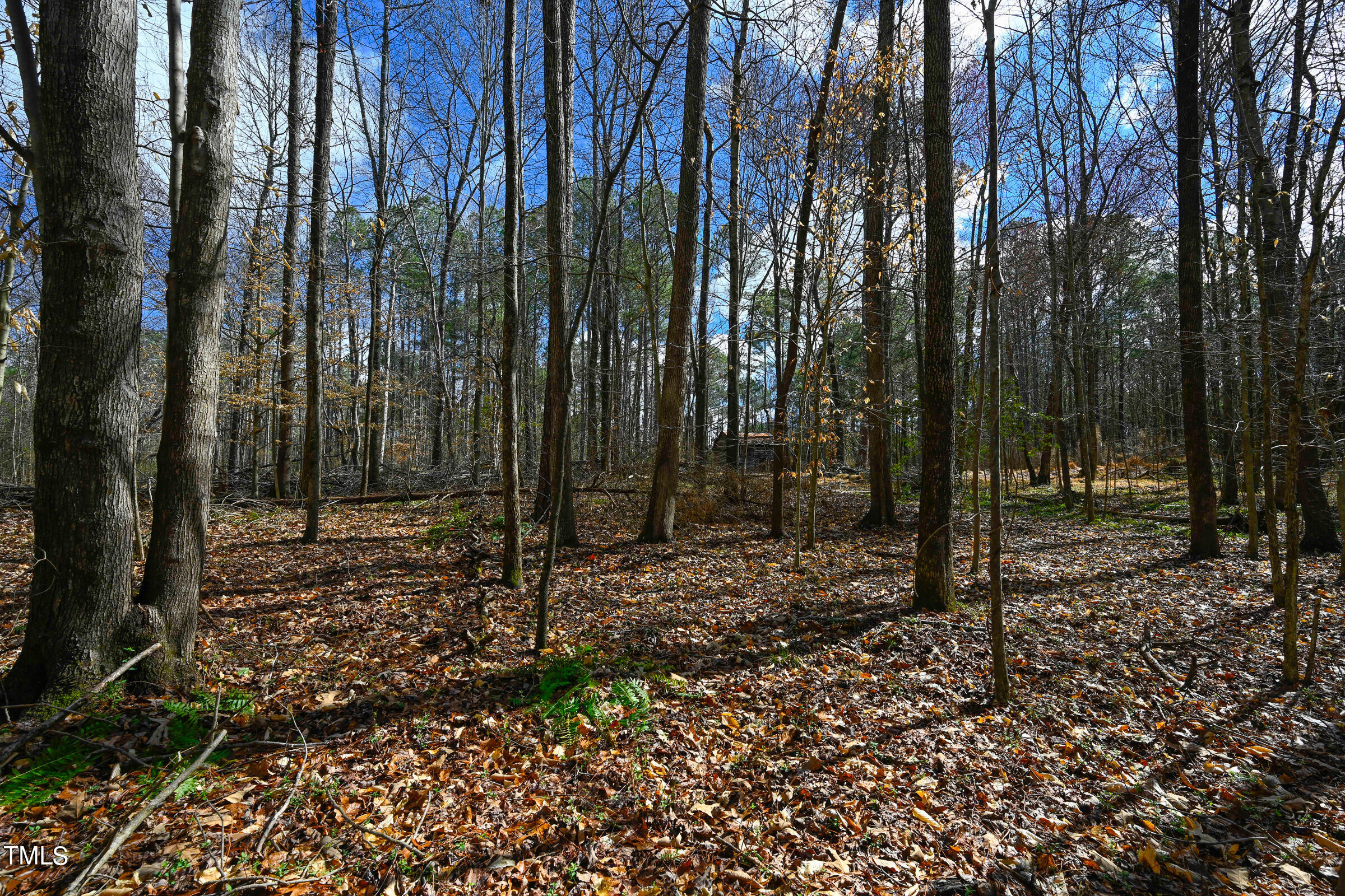 0 Woodlief Road Wake Forest, NC 27587 - Photo 10 of 13 Woodleaf Land-19