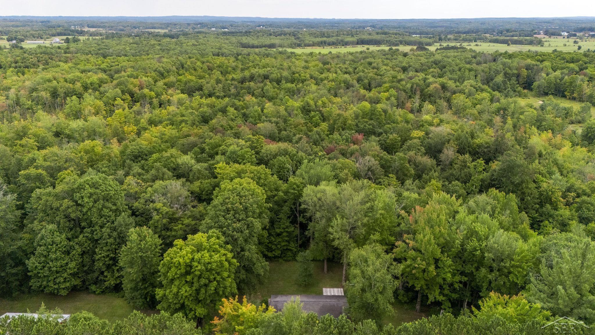 20686 Lakola Road Tustin, MI 49688 - Photo 45 of 47