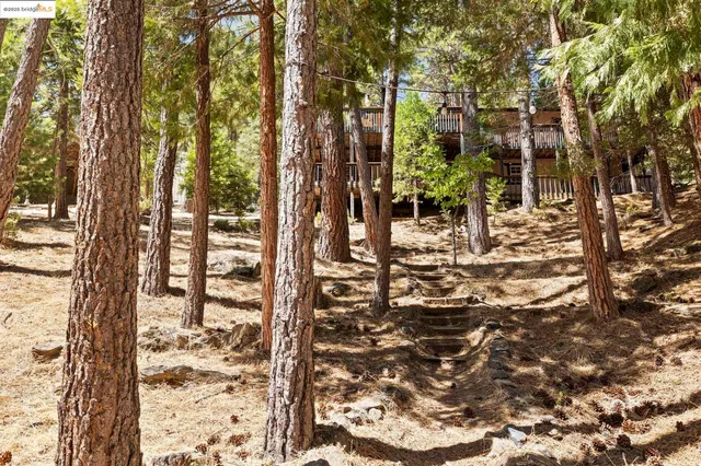 $775,000 | 19824 Pine Mountain Drive, Groveland, CA 95321