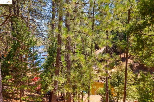 $775,000 | 19824 Pine Mountain Drive, Groveland, CA 95321
