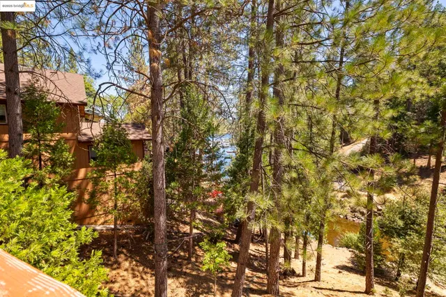 $775,000 | 19824 Pine Mountain Drive, Groveland, CA 95321