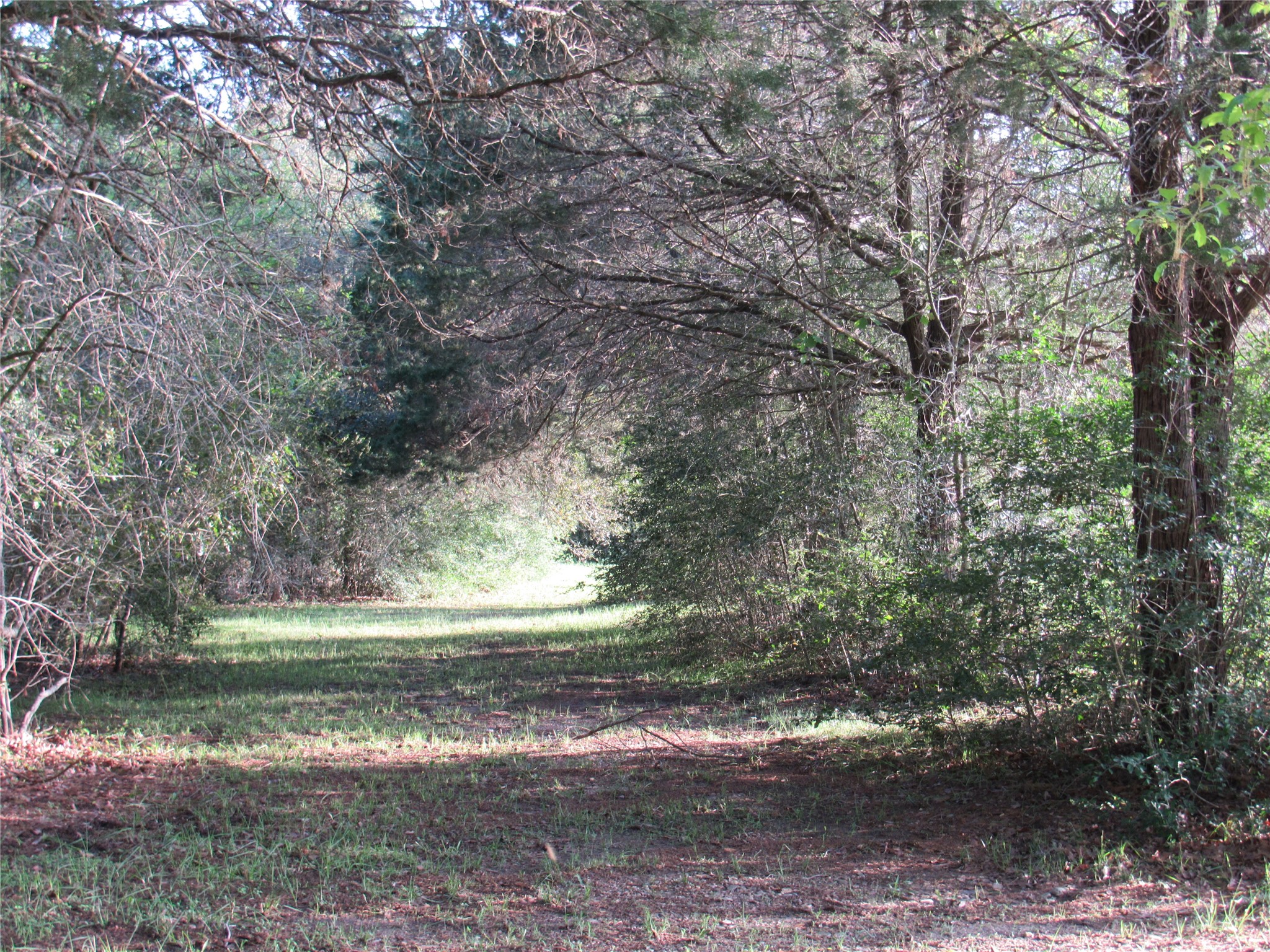 7515 Shelby Road Burton, TX 77835 - Photo 12 of 31 Gallery Image 12