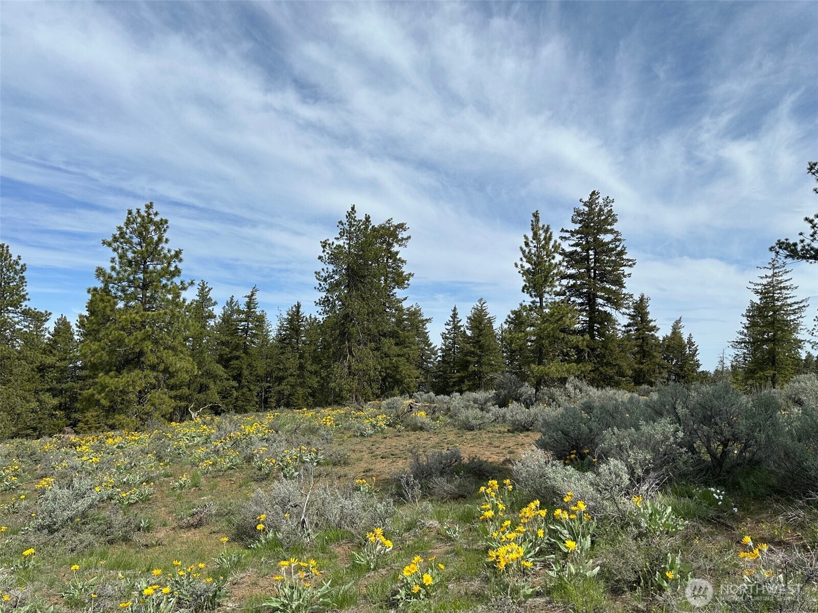 420 Hummingbird Road East Wenatchee, WA 98802 - Photo 13 of 22 Gallery Image 13