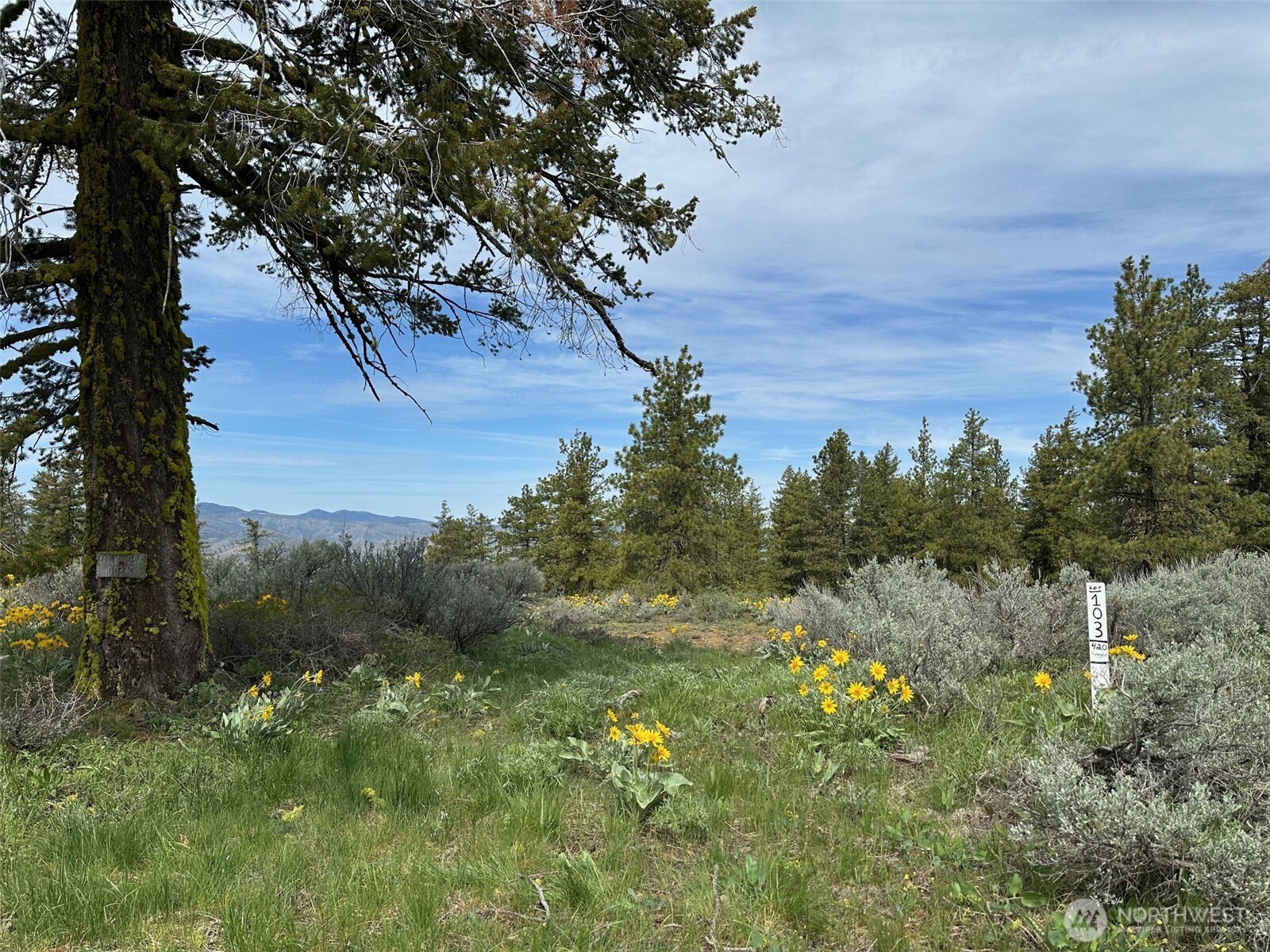 420 Hummingbird Road East Wenatchee, WA 98802 - Photo 3 of 22 Gallery Image 3