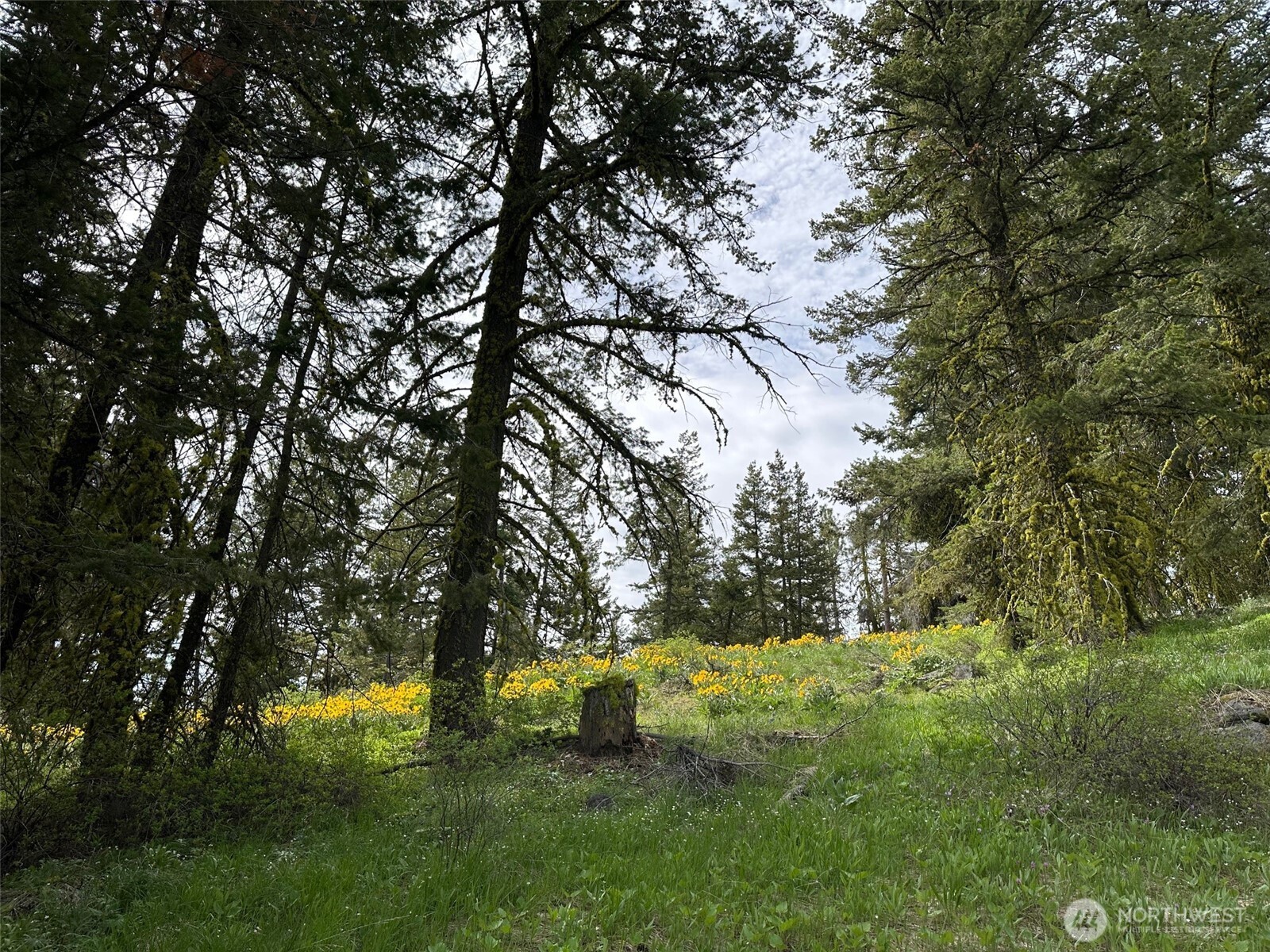 420 Hummingbird Road East Wenatchee, WA 98802 - Photo 9 of 22 Gallery Image 9